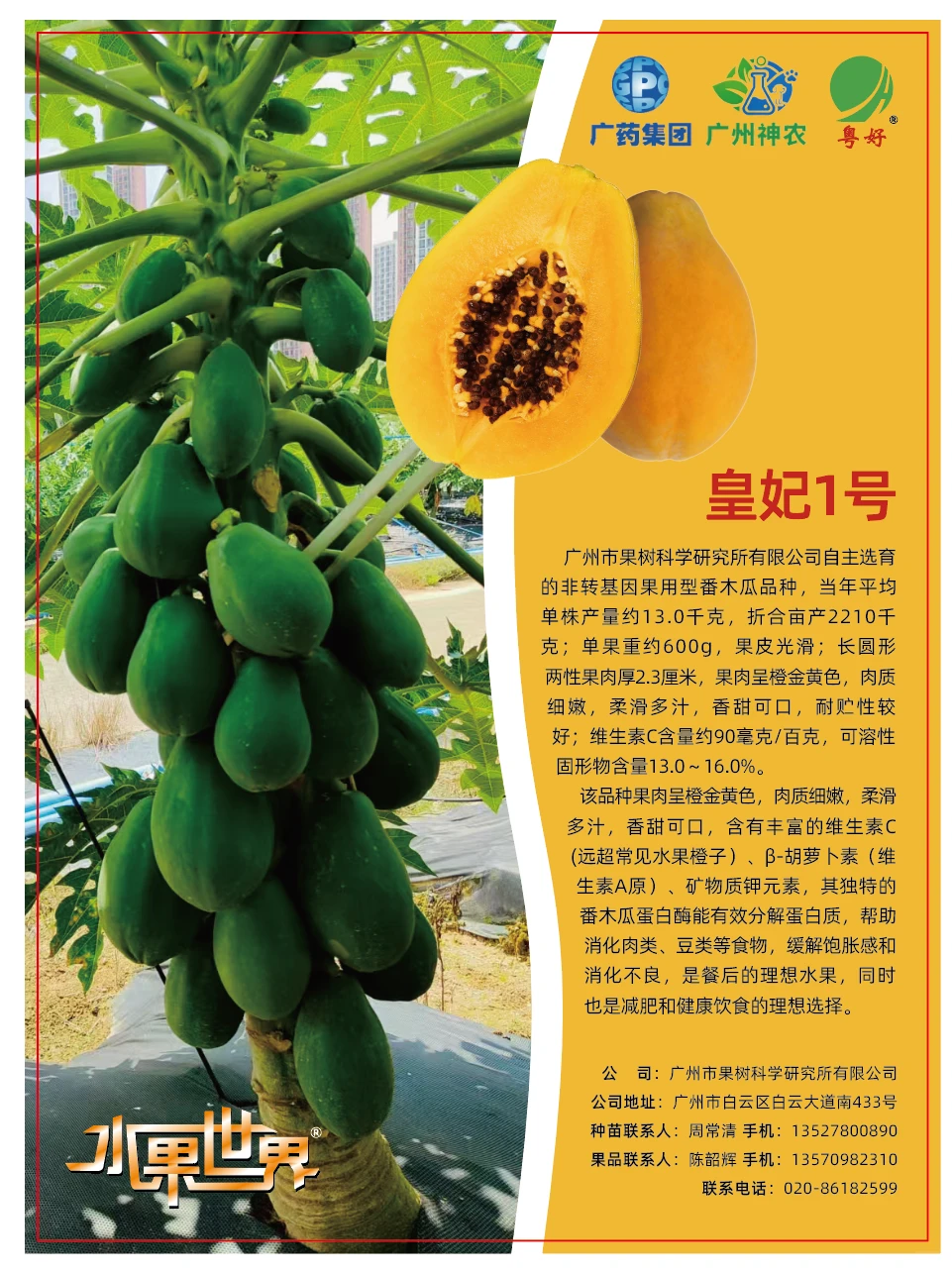 想吃番木瓜的朋友看过来