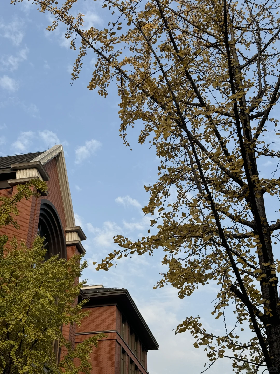 小众又好拍！重庆新博物馆