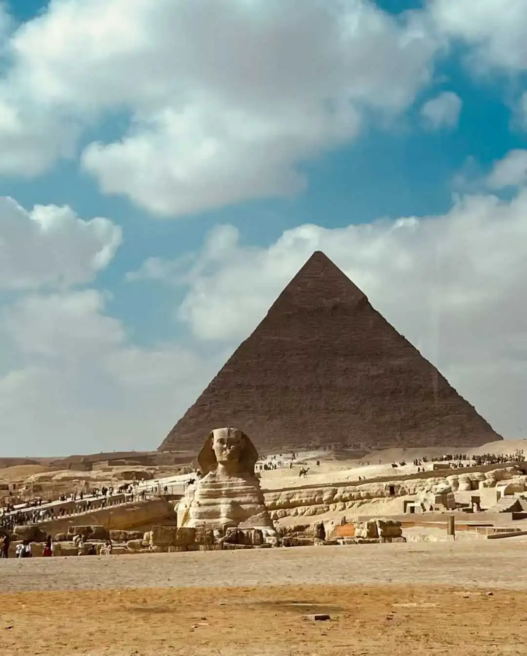 中东国家采购差异:沙特 vs 阿联酋 vs 埃及