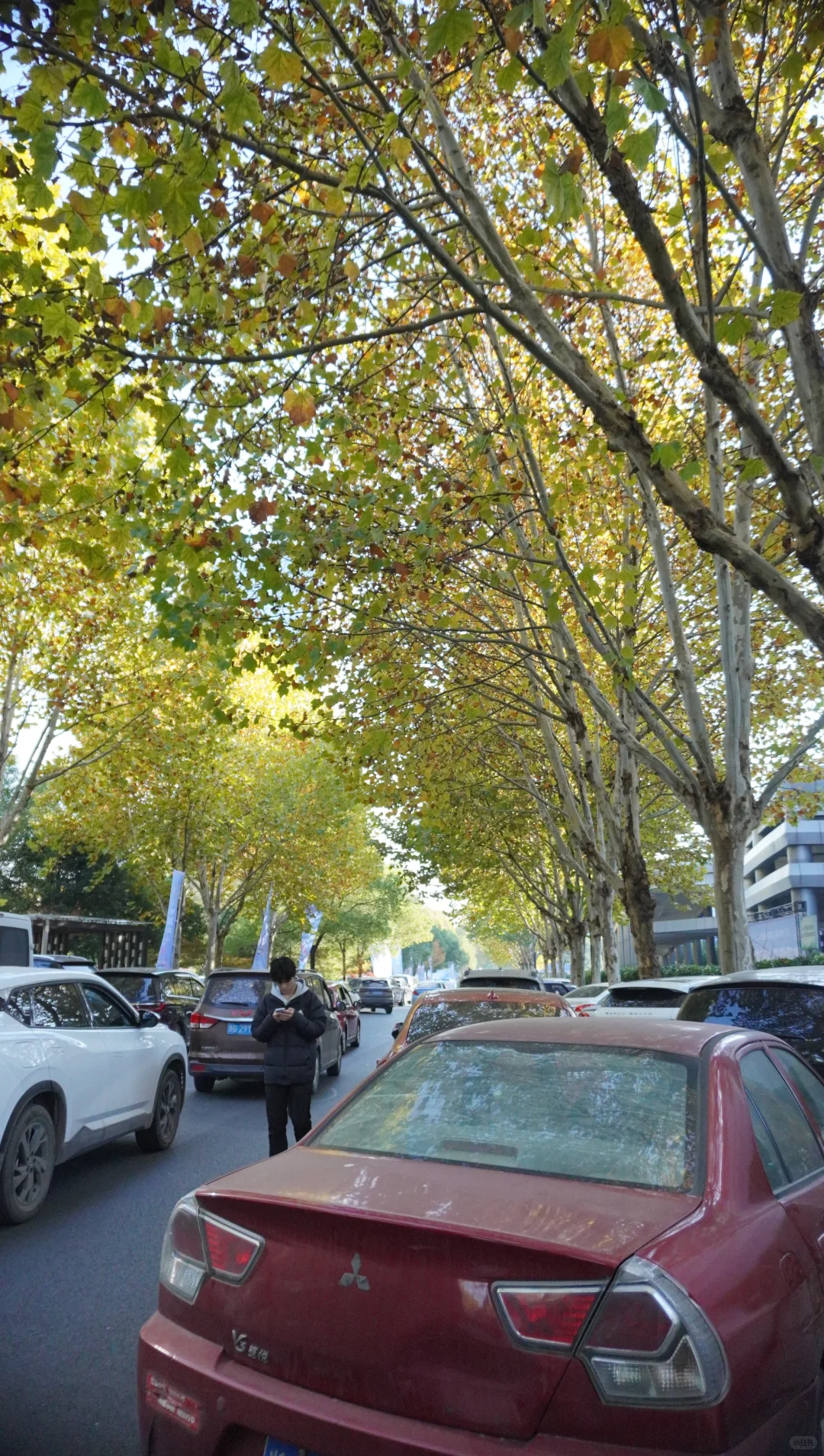 展会上的一天?首届义乌跨境电商交易会