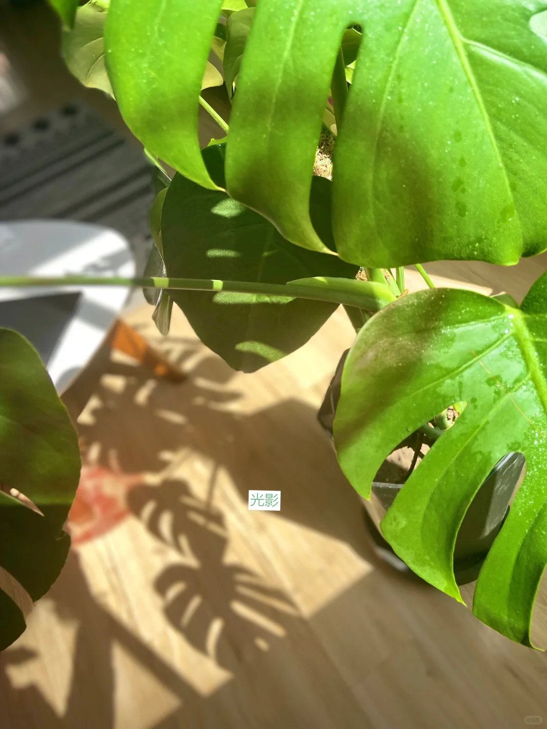 外贸｜国外参展前的准备