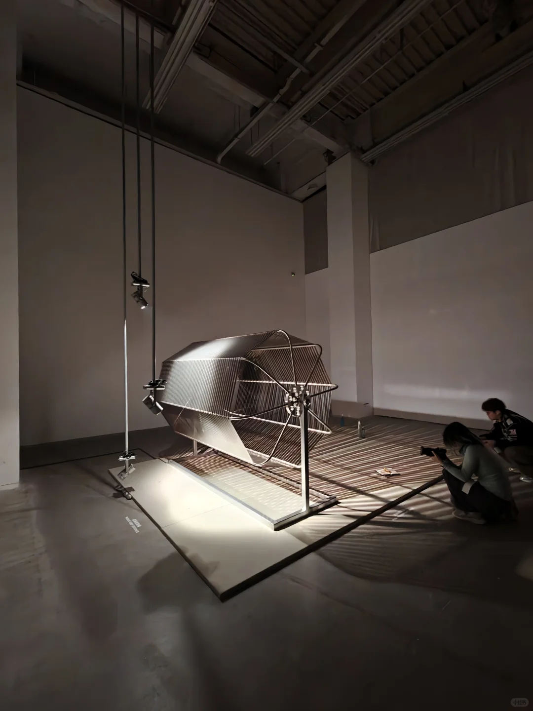 去双年展与同频的人共赴一场花开有声的约会