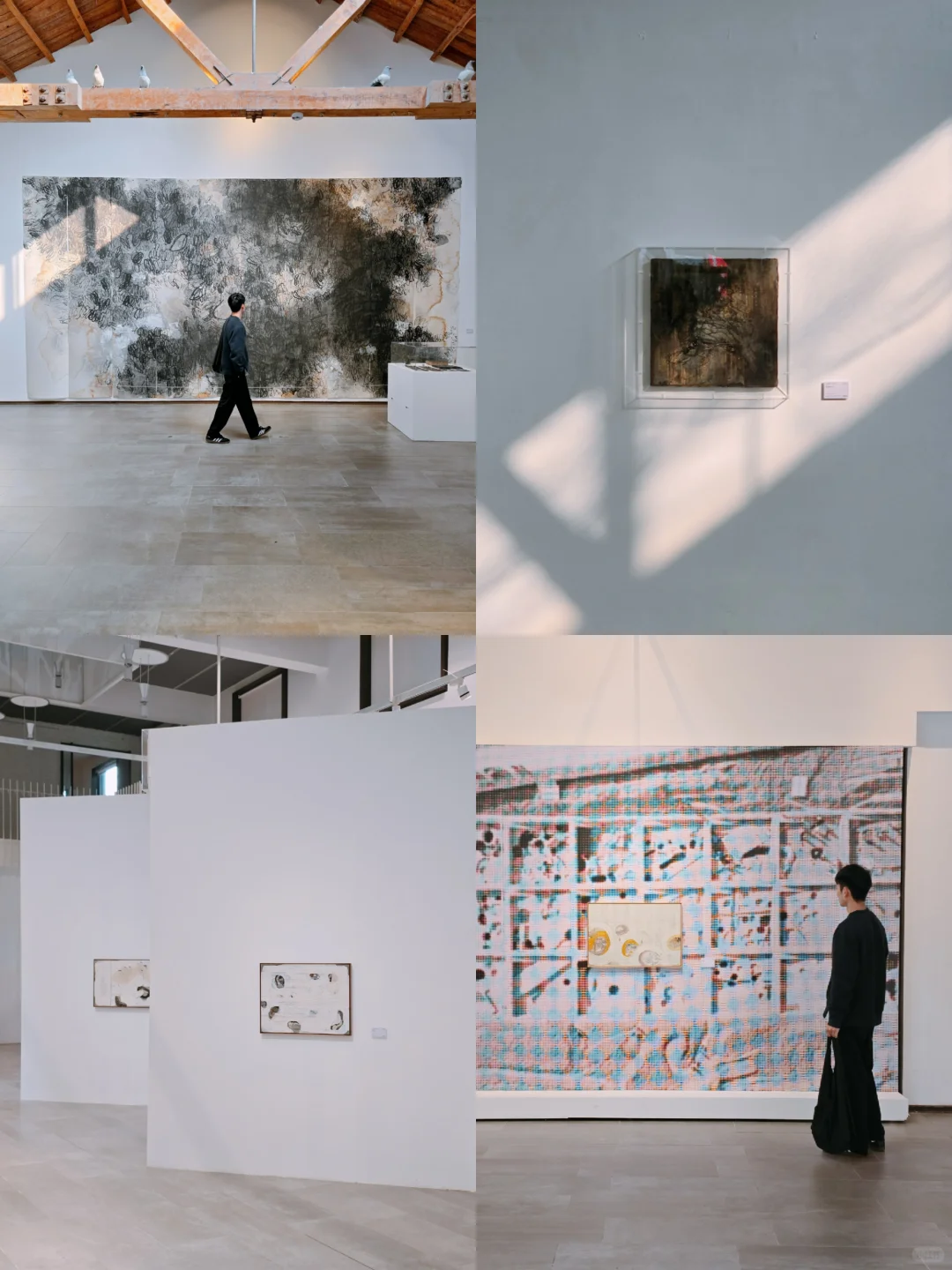 郑州新展！别错过！周末来看展！