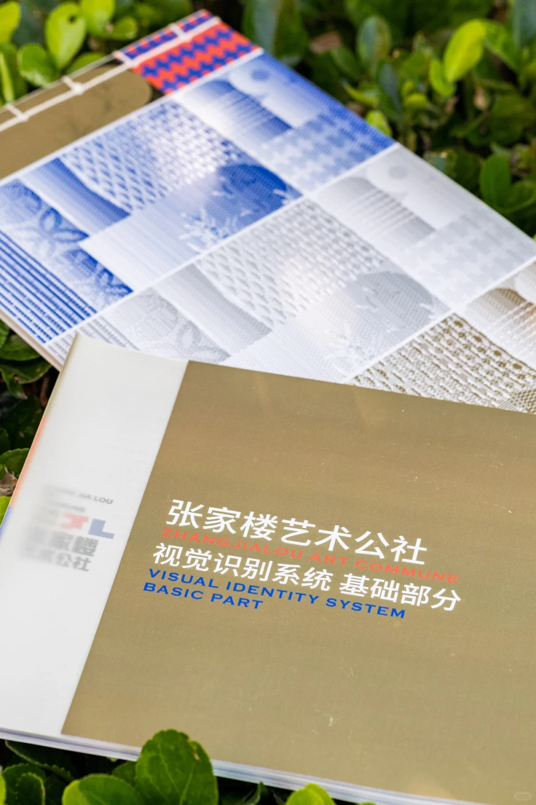 我和我的毕设✌?终于轮到我开展啦⌯>ᴗo⌯ಣ