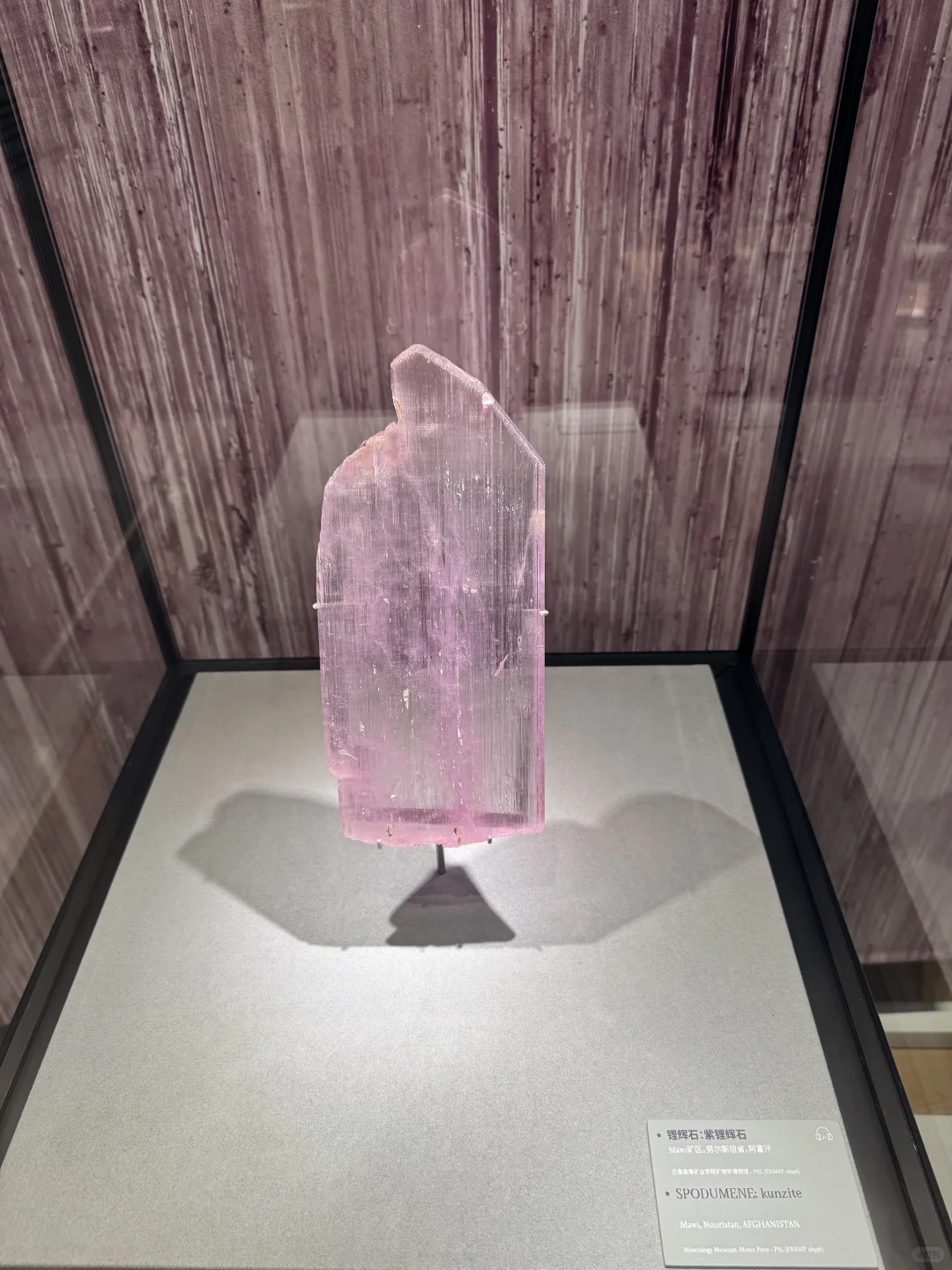 厉害的珠宝都在这儿了！