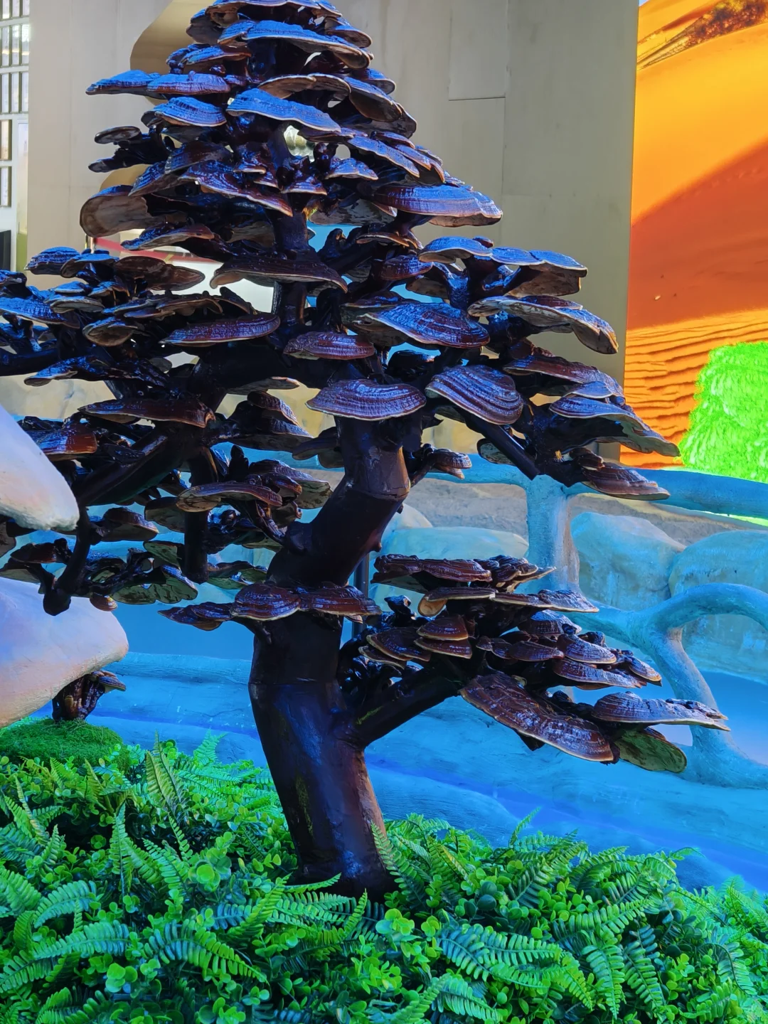 养生党必看！创喜燕窝，古方+科技双buff