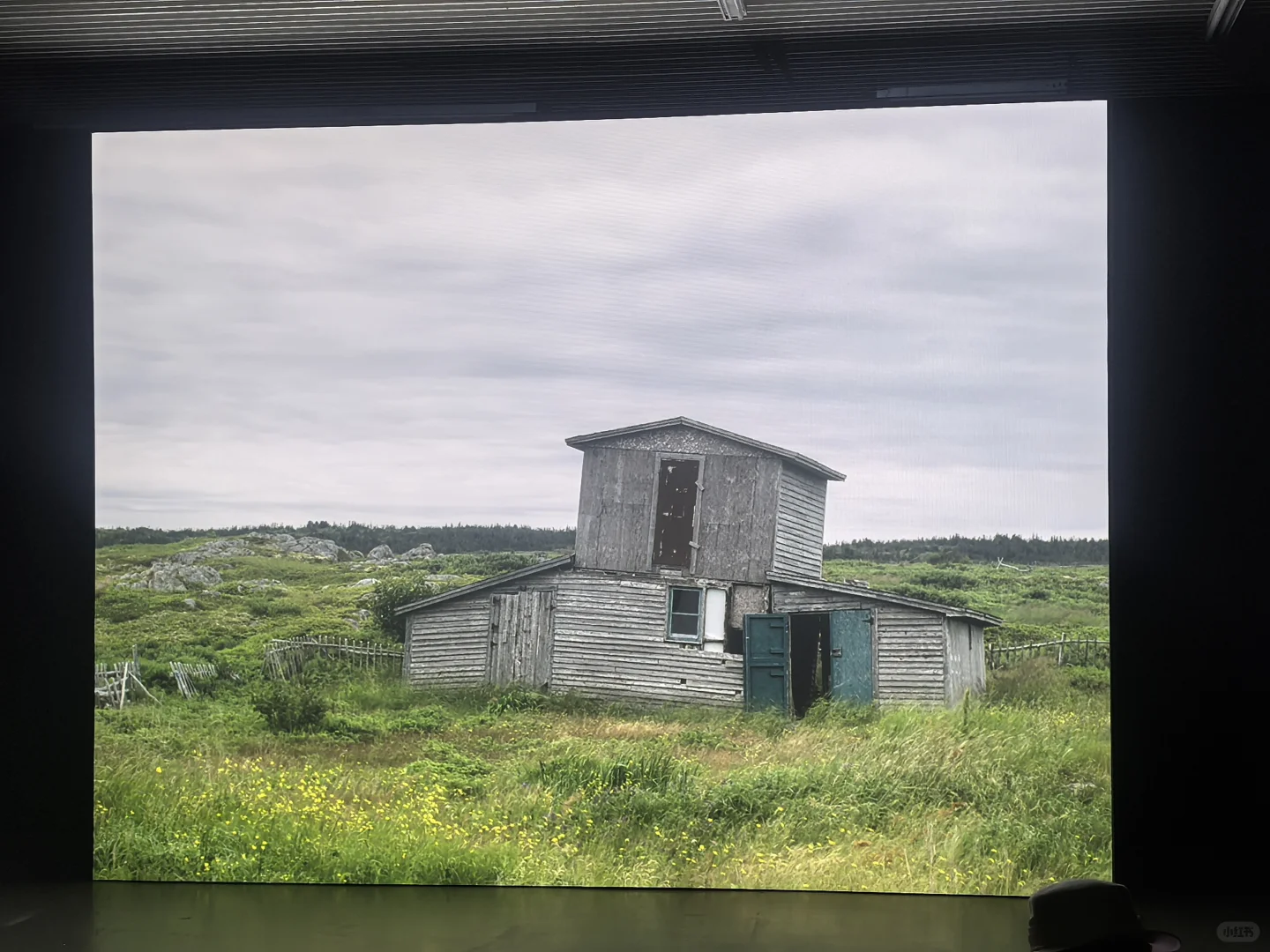 去双年展与同频的人共赴一场花开有声的约会