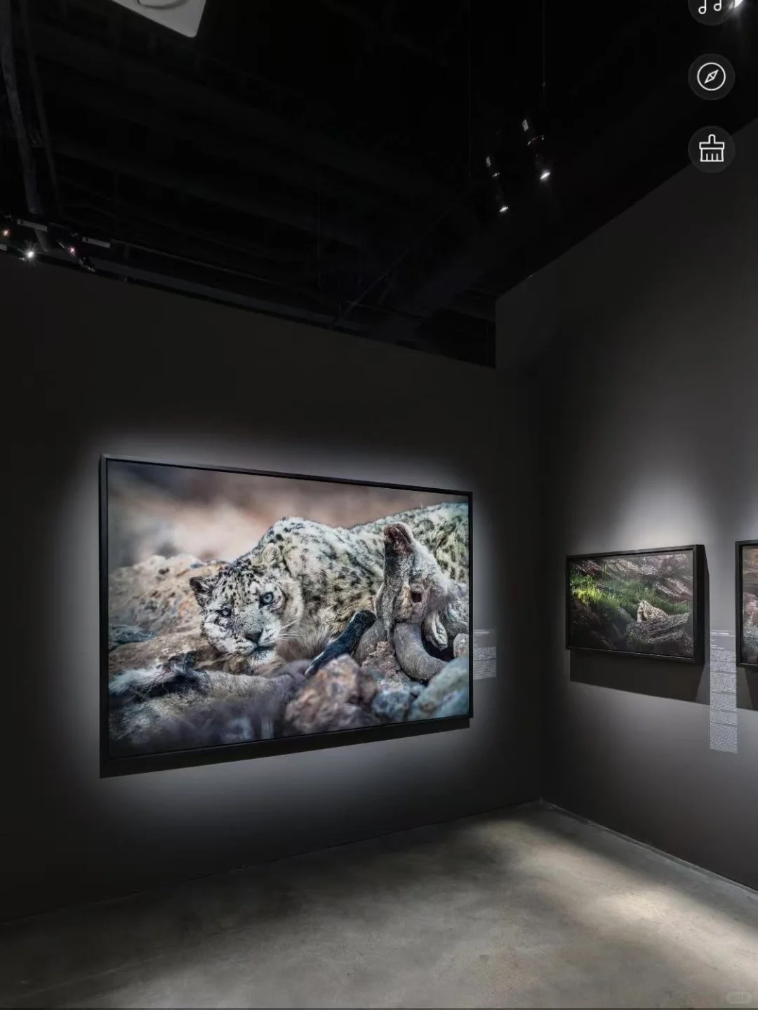 线上观展 | 在家也能“走进”天府影艺看展览