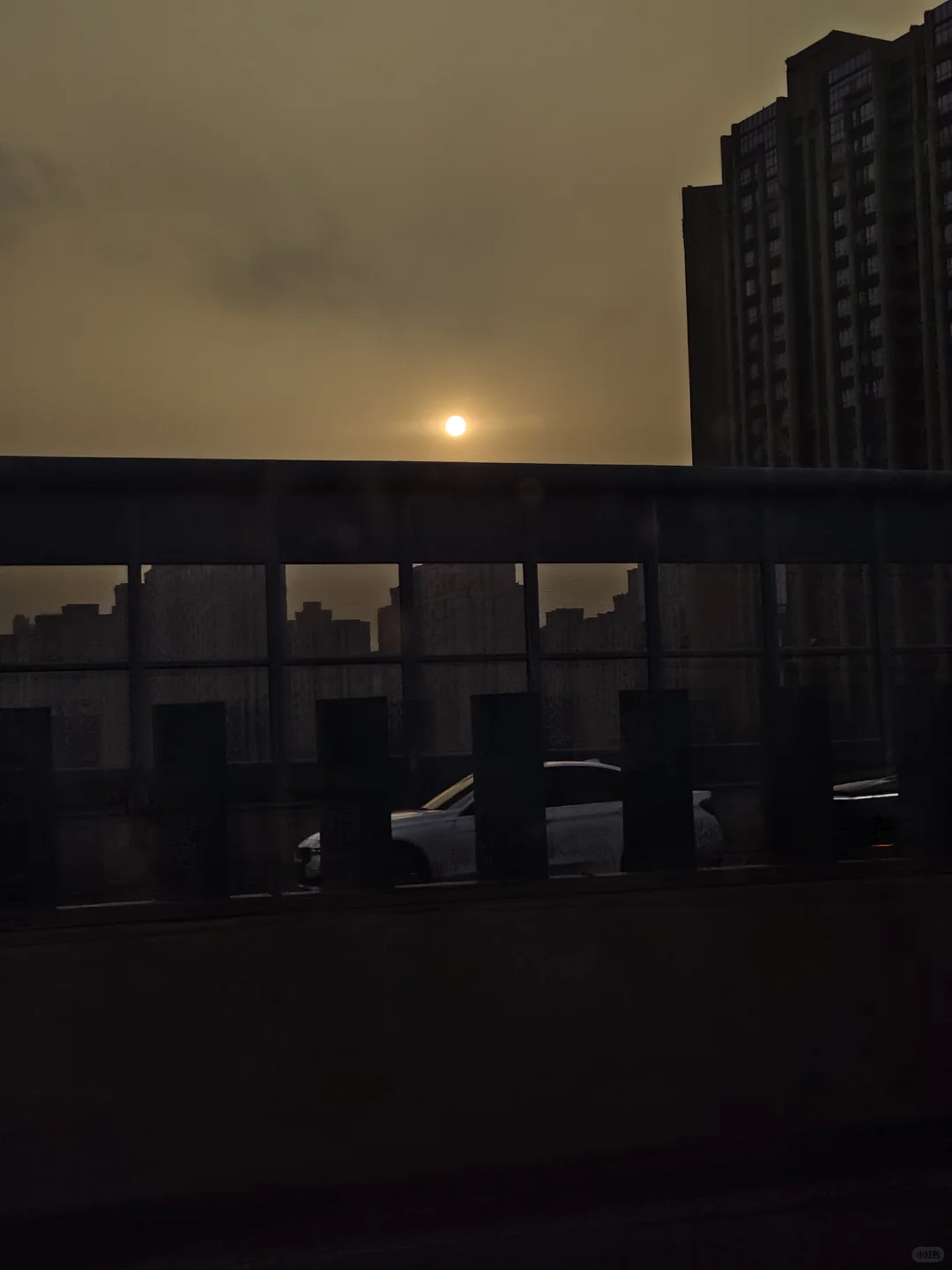 2025国际采购与投资大会对接会口译