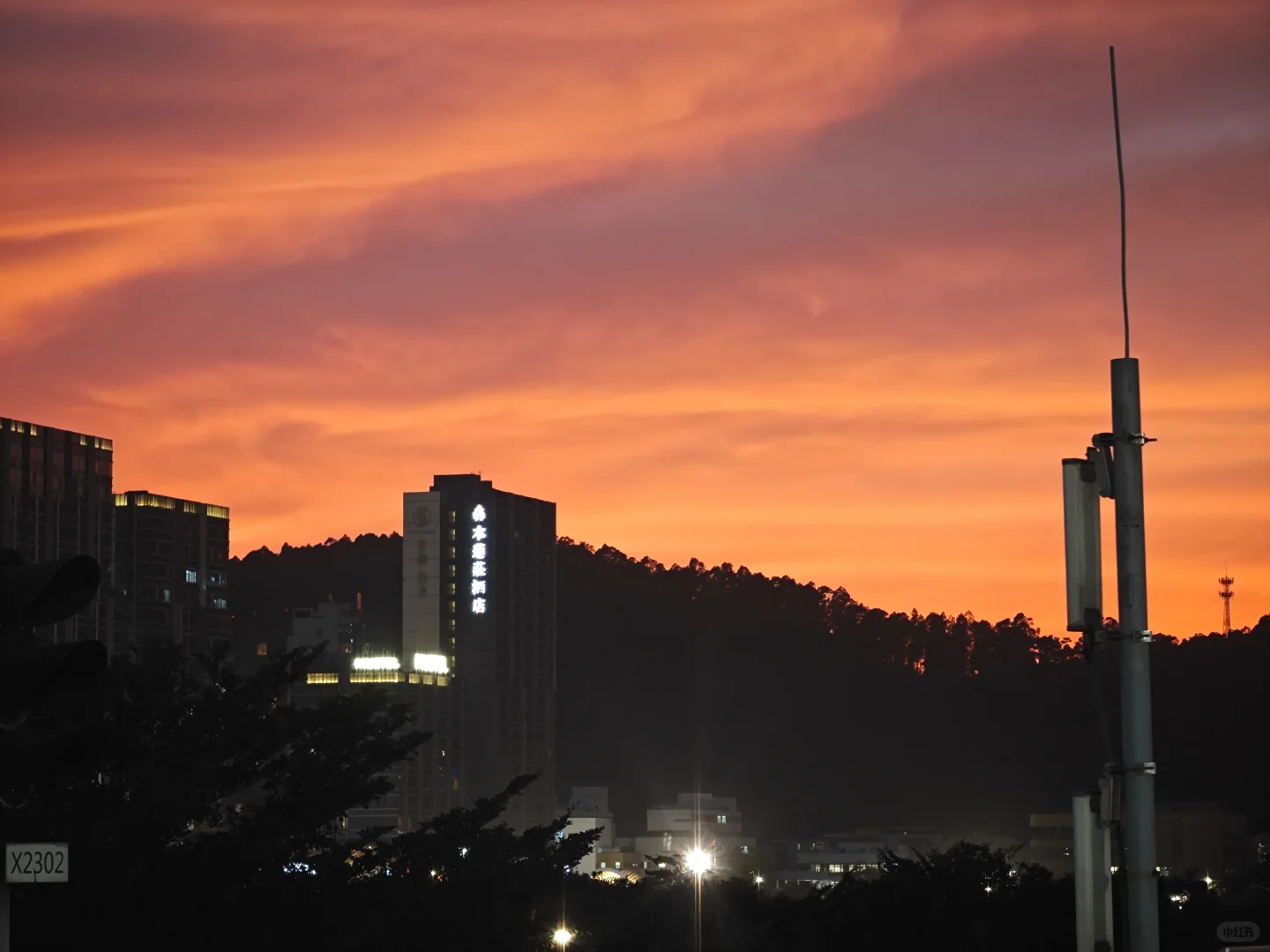 最近很多事，让我觉得人很苦，但人很坚韧