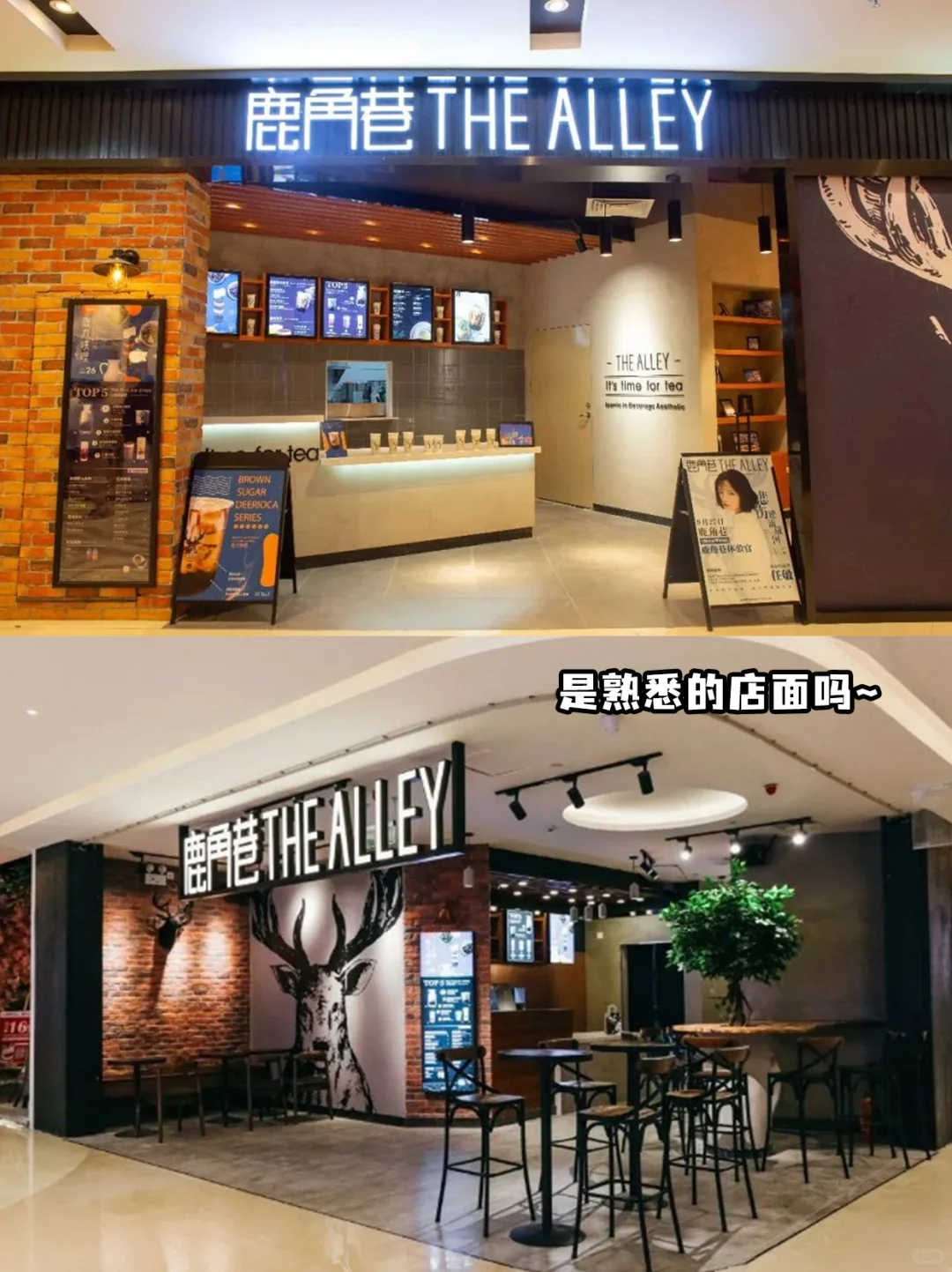 正版鹿角巷来招合伙人了,山寨别来沾边?