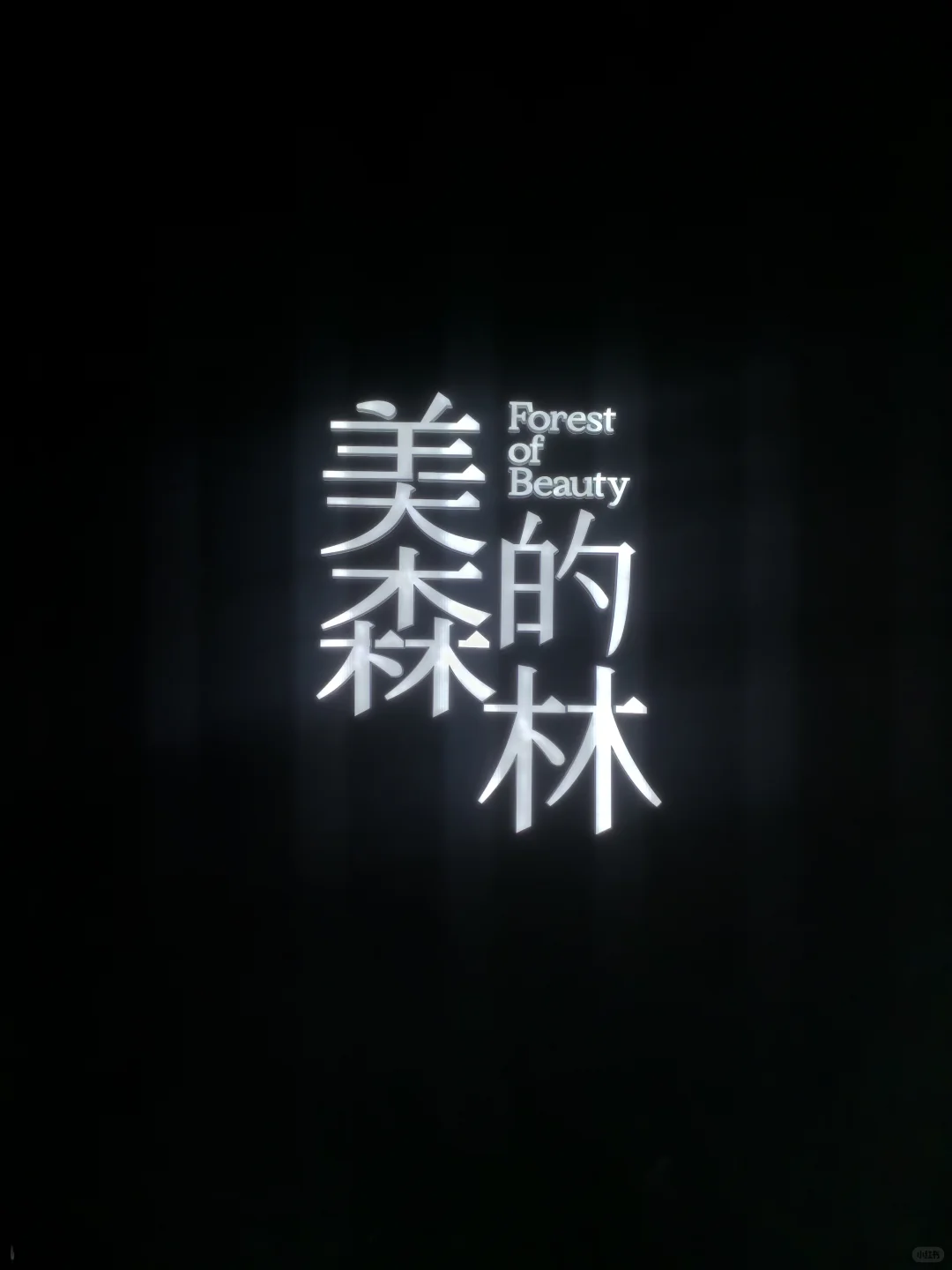 看展记｜韩美林“美的森林”策展真可以