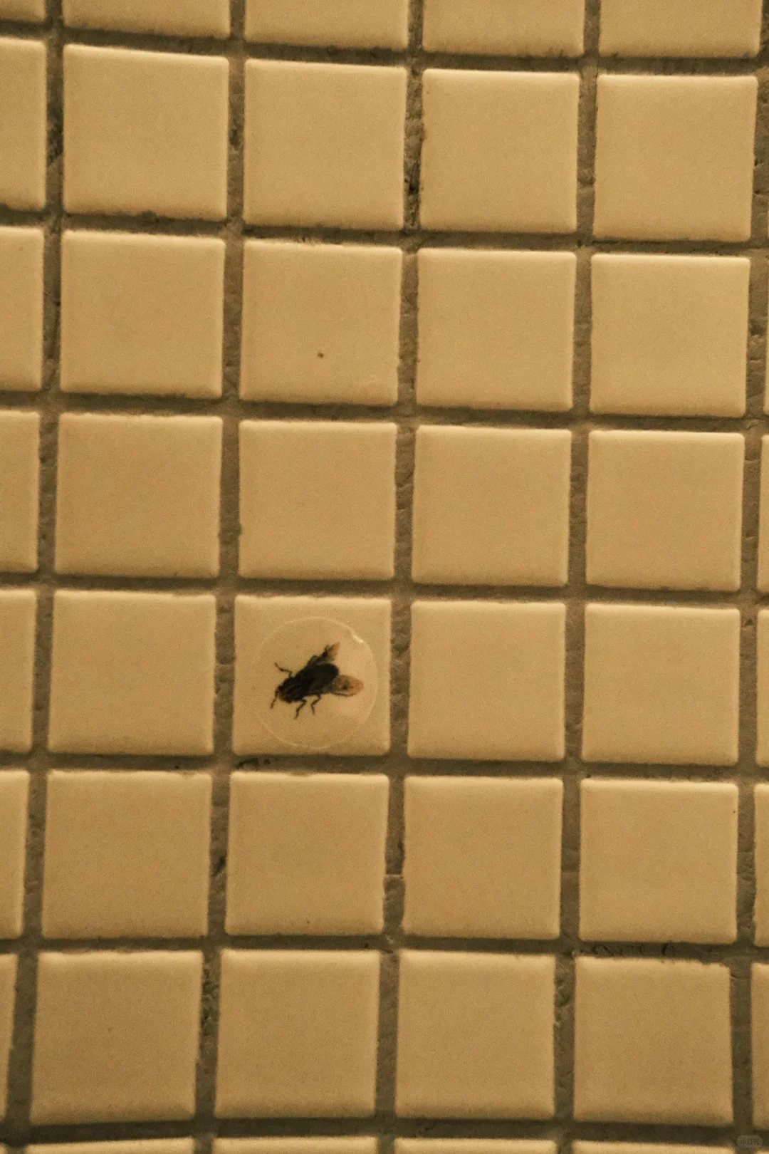 2025上海双年展：其实还是有些好看的