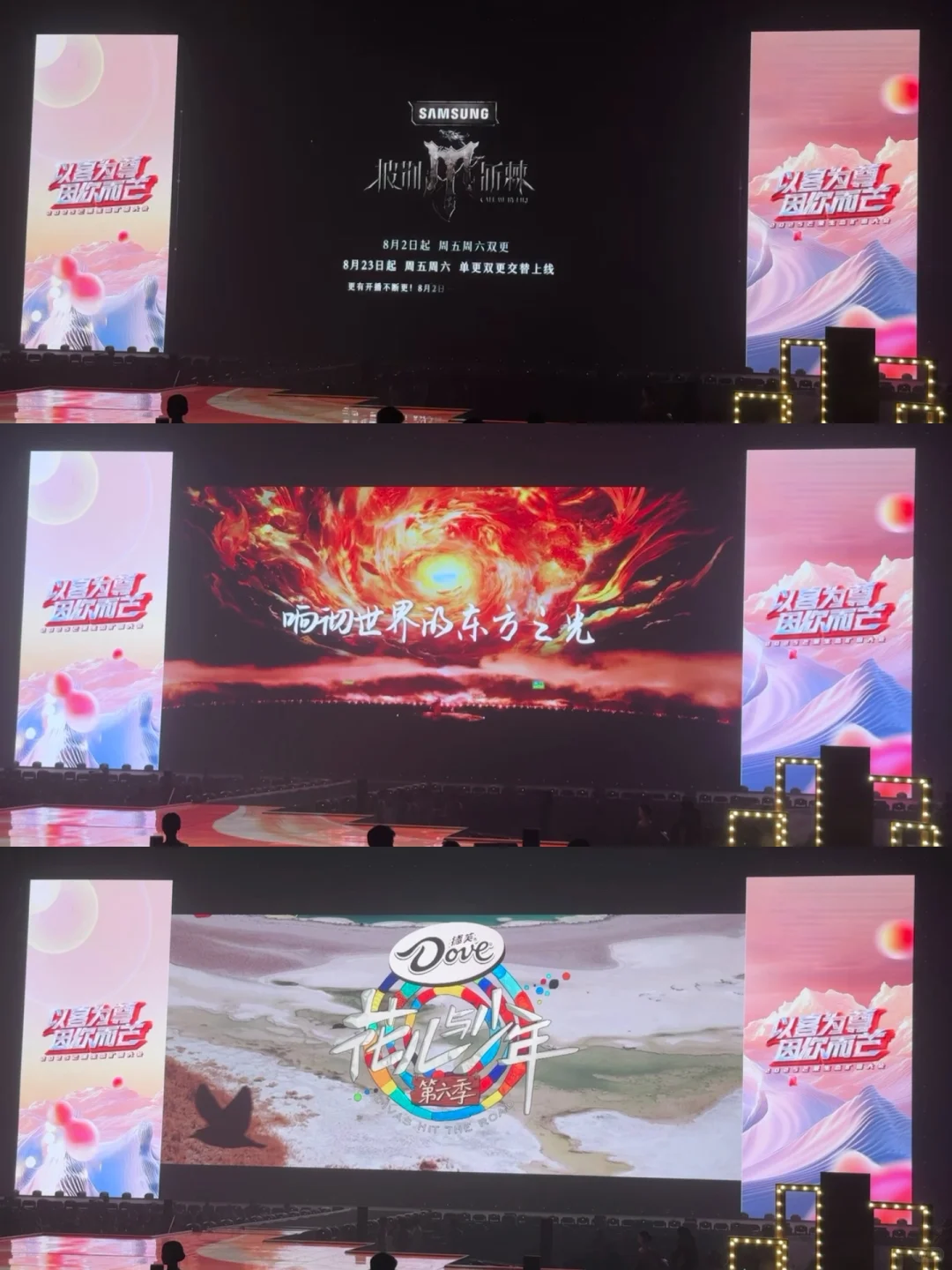 是谁看到了2025芒果?招商会