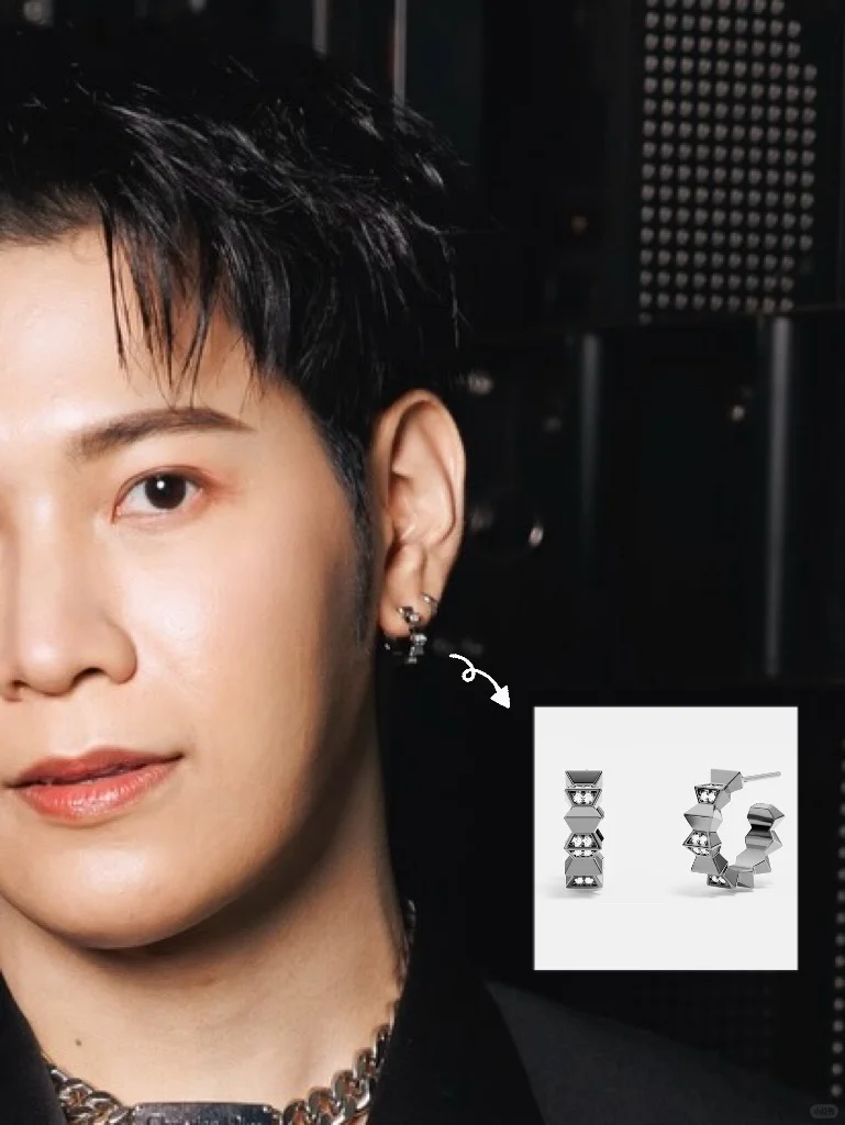 送的耳钉被狮子在推介会翻牌了？