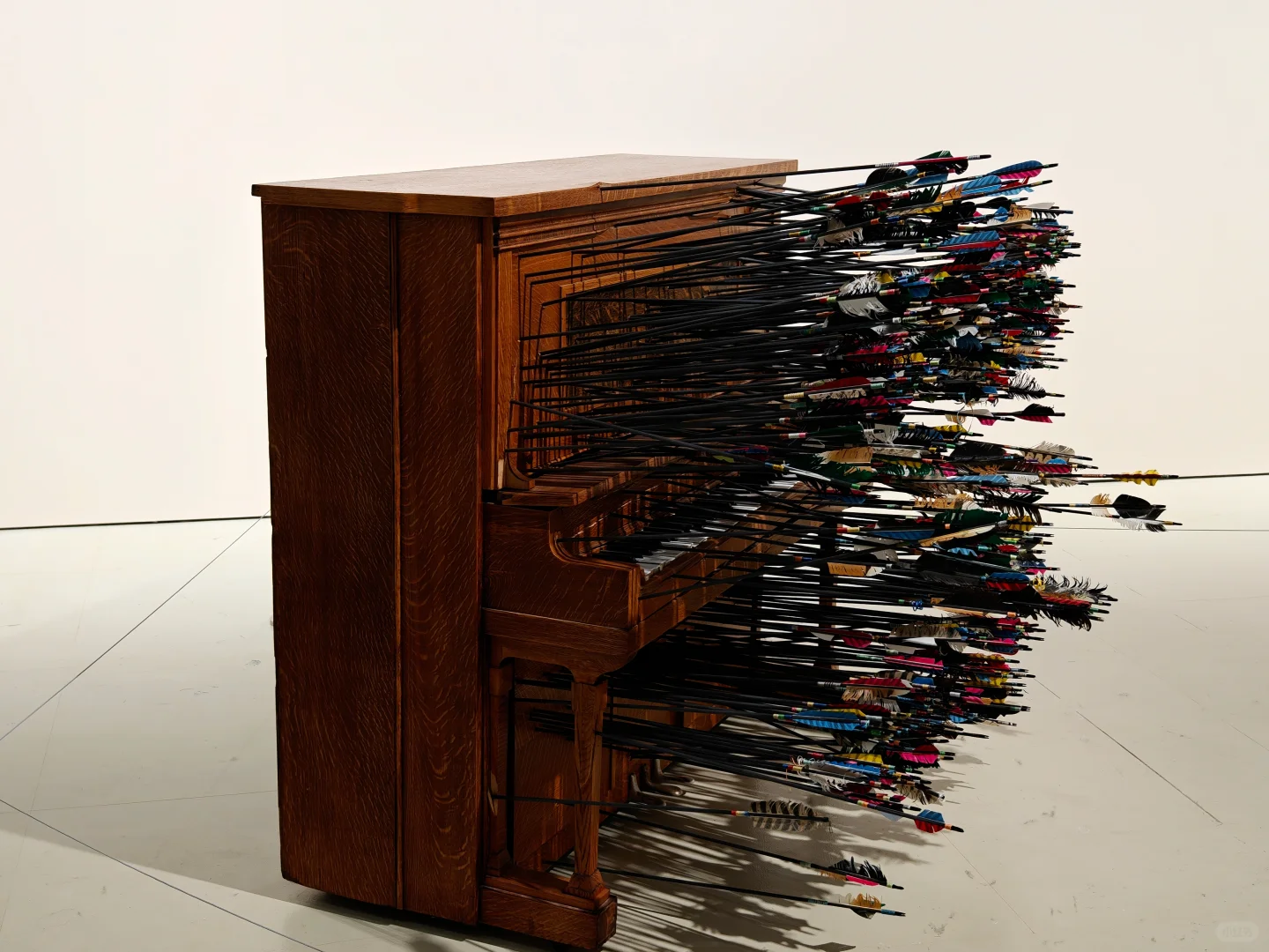 去双年展与同频的人共赴一场花开有声的约会