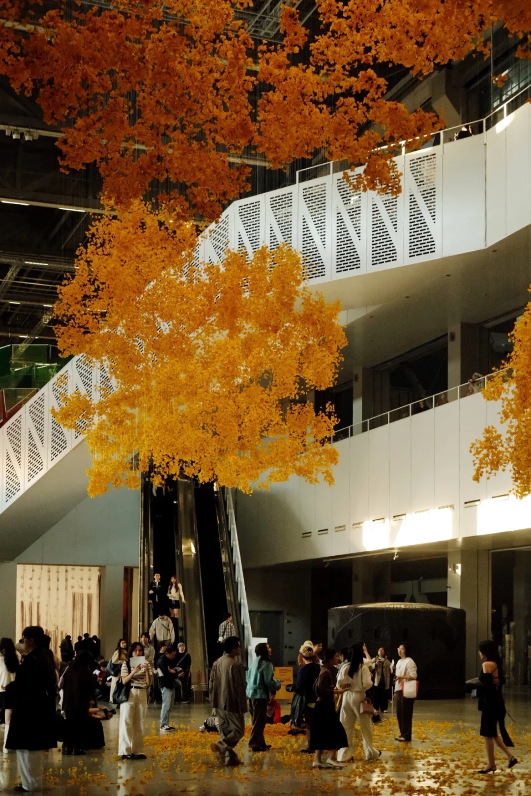 2025上海双年展：其实还是有些好看的