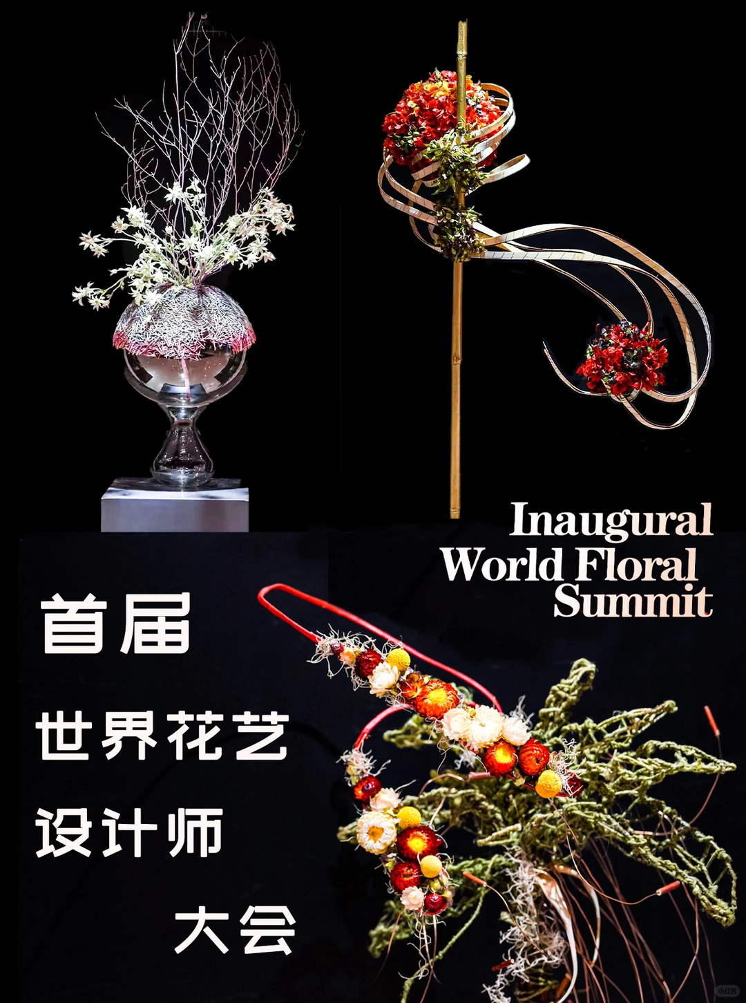世界级花艺盛事空降深圳?异形花瓶限量领！