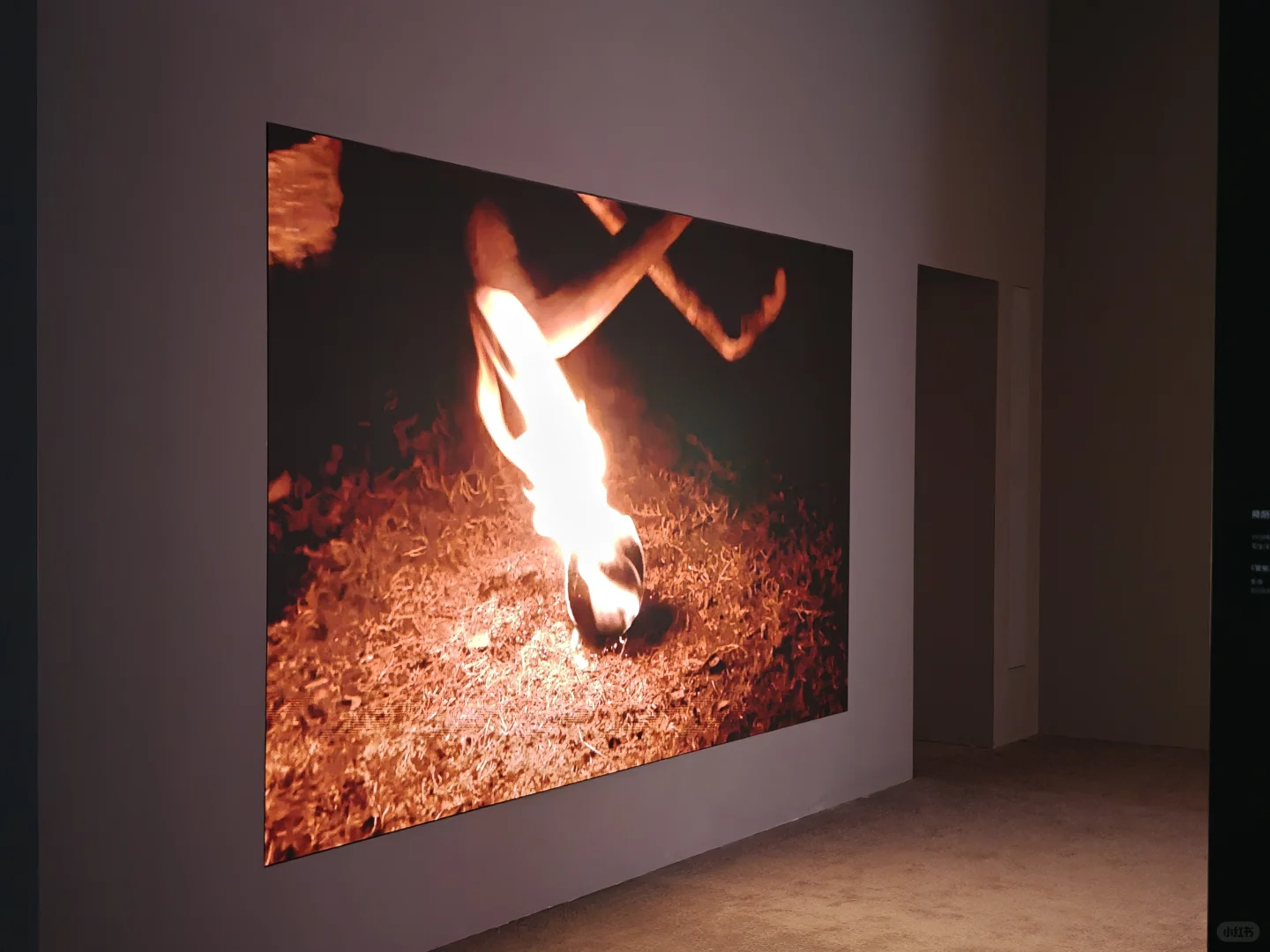 去双年展与同频的人共赴一场花开有声的约会