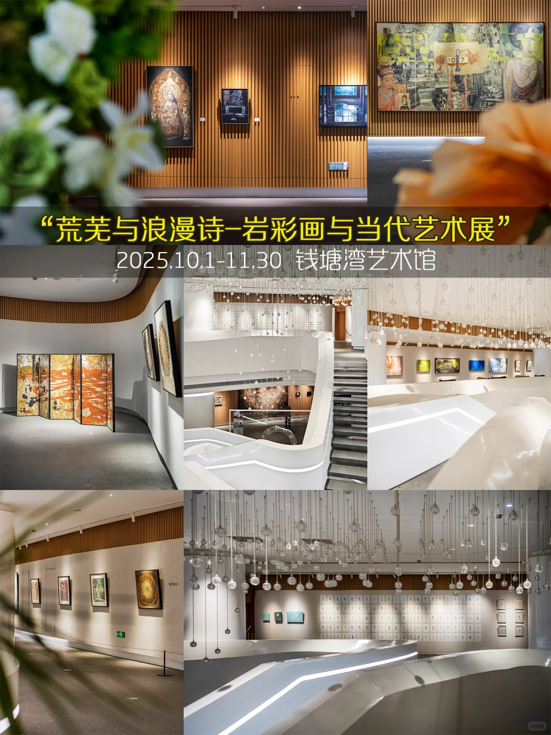 杭州11月免费展杀疯了❤️99个承包整月快乐