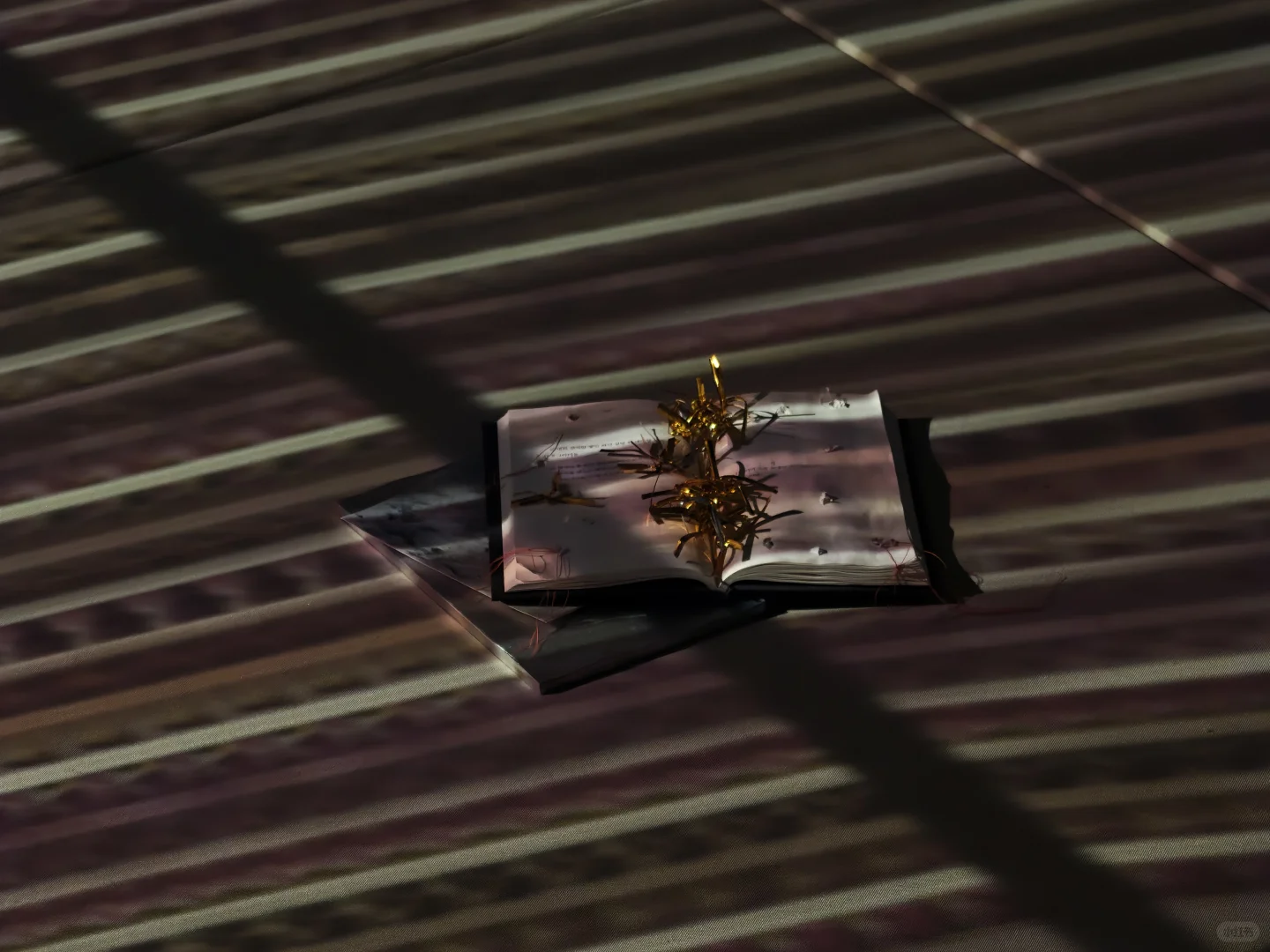 去双年展与同频的人共赴一场花开有声的约会