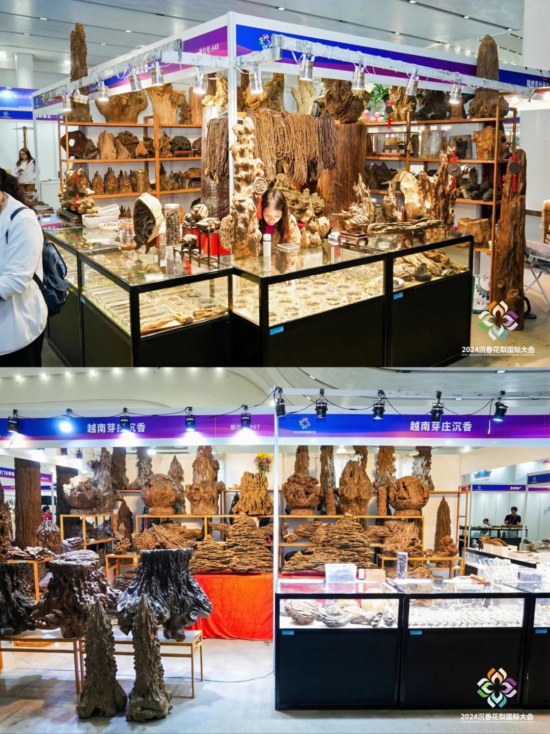 错过这届天香国色展,再等一年!!!