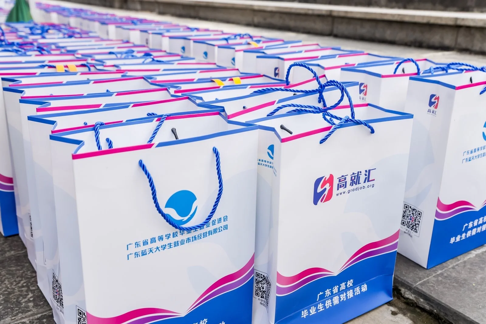 ? 广东“就在南粤”2026届医药类专场招聘会