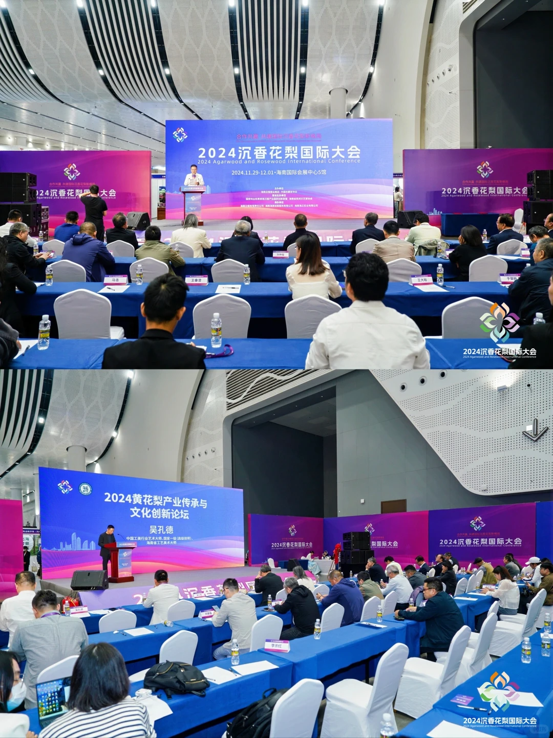 错过这届天香国色展,再等一年!!!