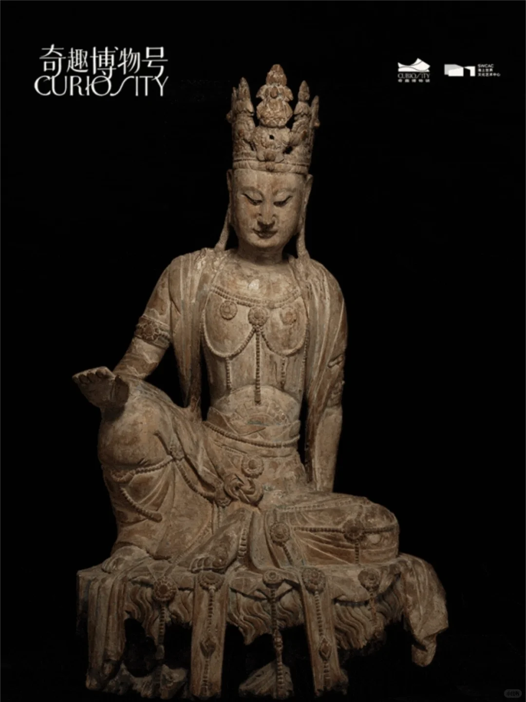 重磅新展| 穿越亿年与古文明来一场震撼对话