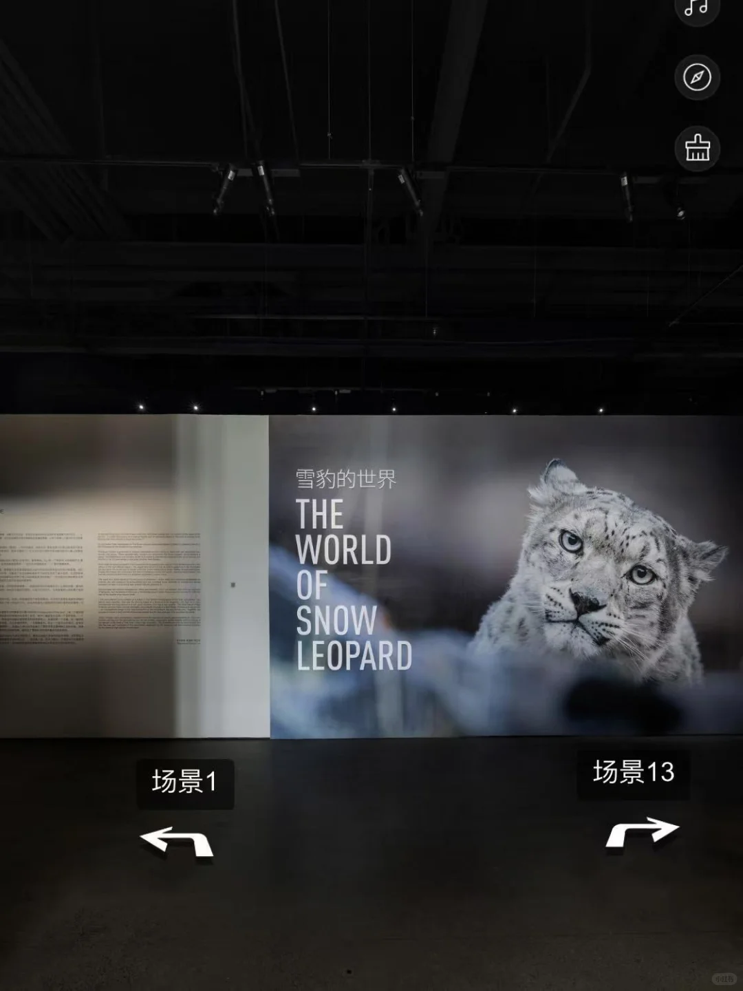 线上观展 | 在家也能“走进”天府影艺看展览