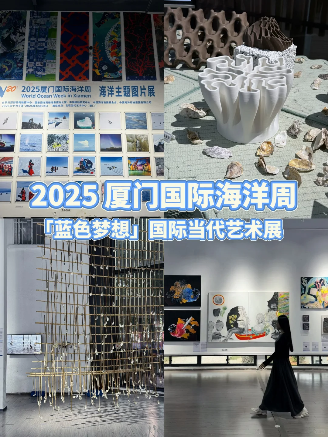 ?厦门国际海洋周｜「蓝色梦想」当代艺术展