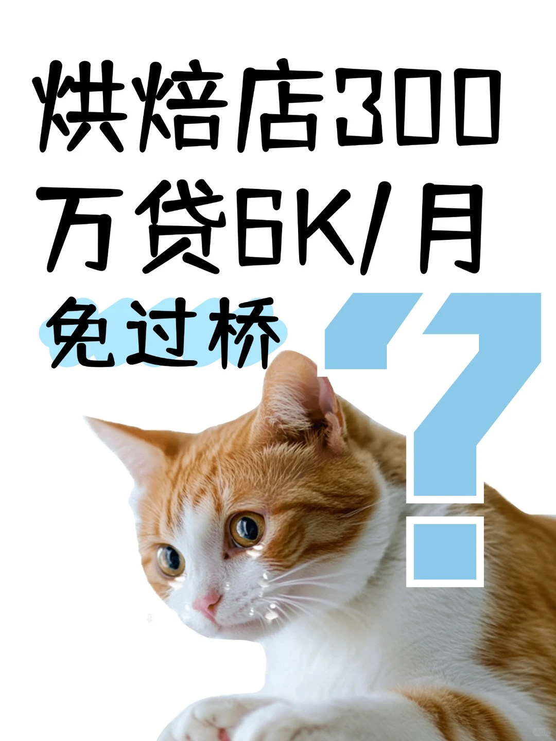 烘焙店300万贷6K/月2.35%?