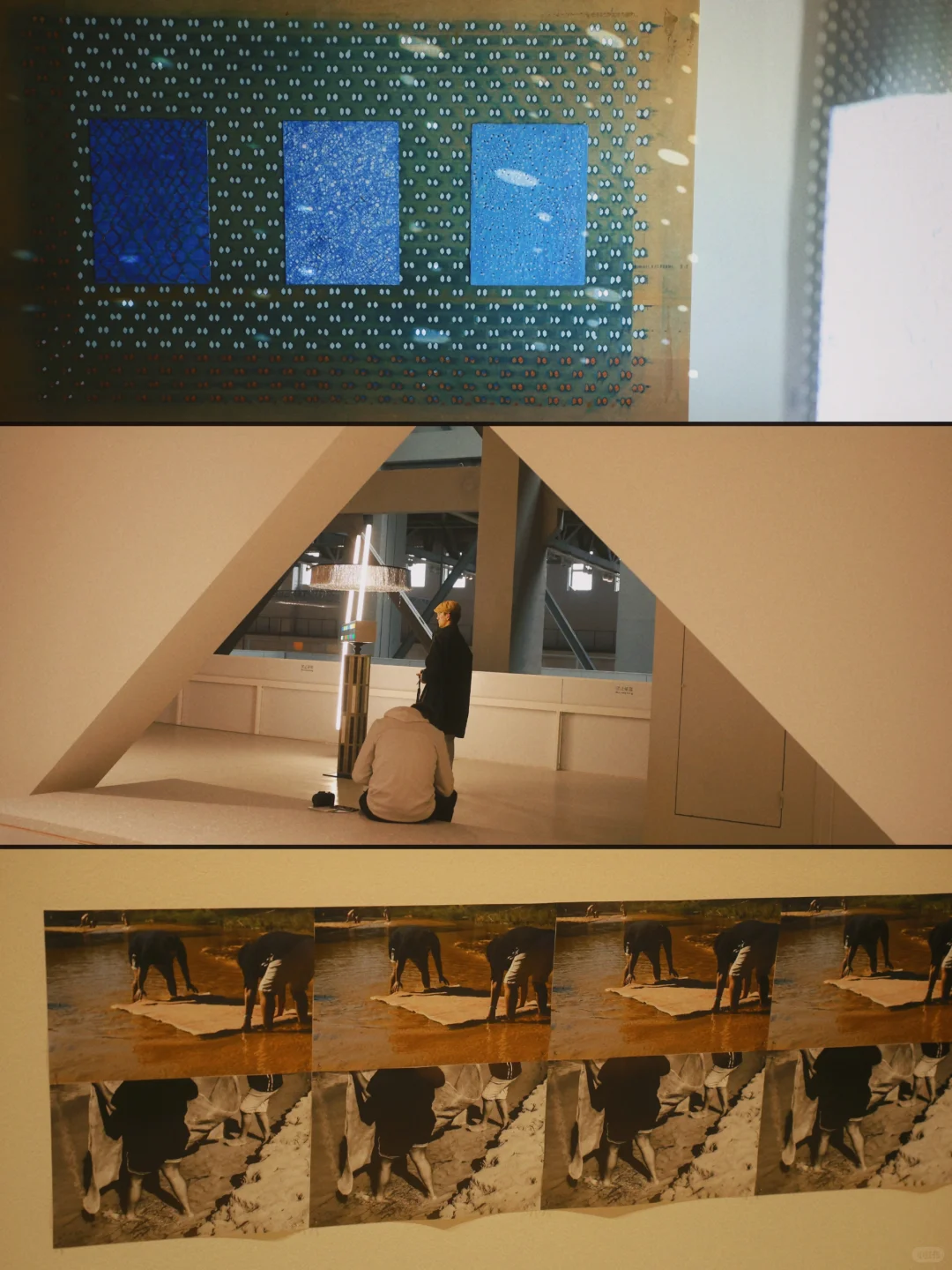 上海新展｜年度必看的双年展超全逛展指南