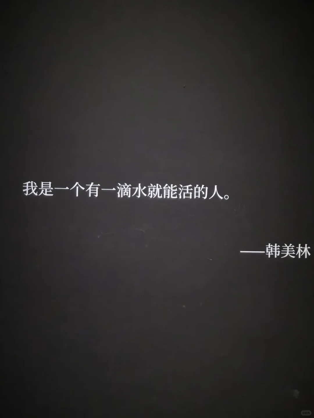 看展记｜韩美林“美的森林”策展真可以