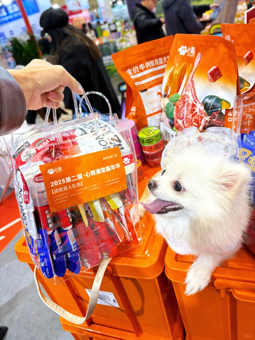 心粮真的这次太懂我们了！