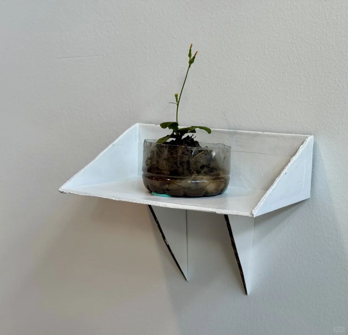 一件伪作混进青年美展