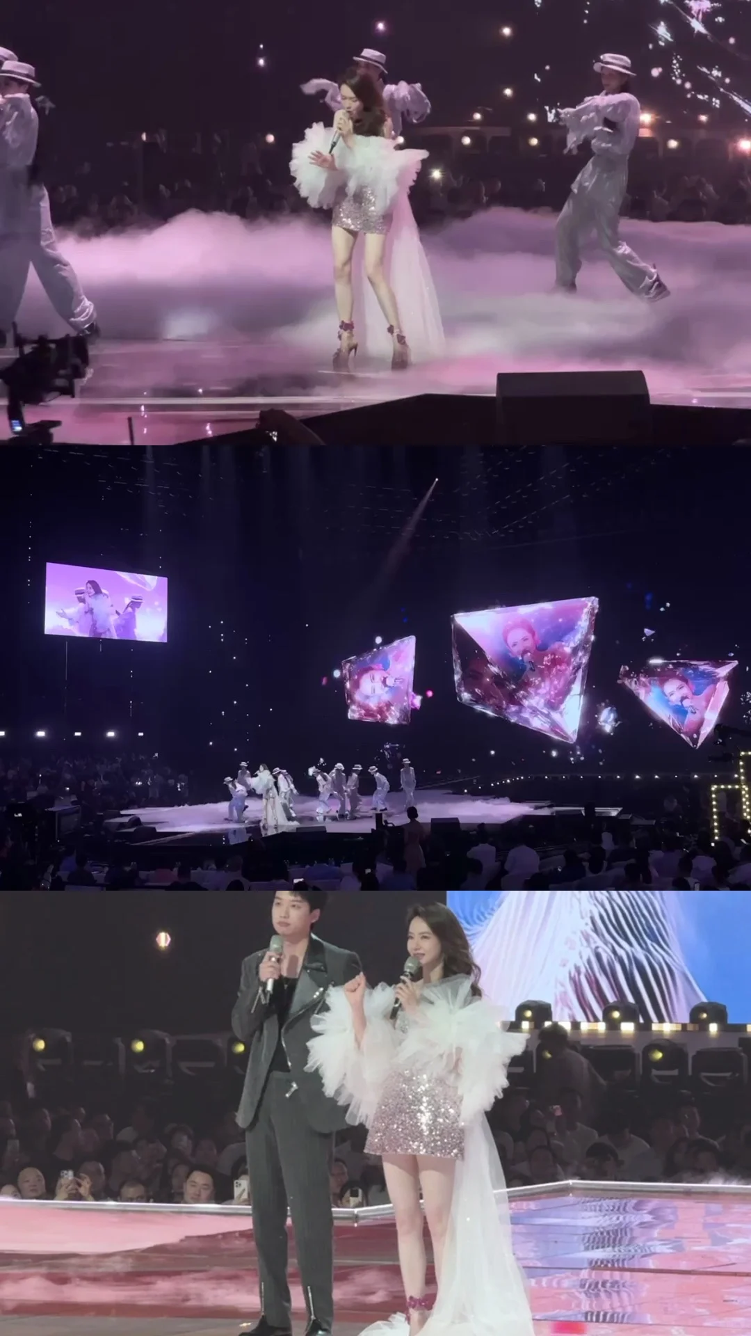 是谁看到了2025芒果?招商会