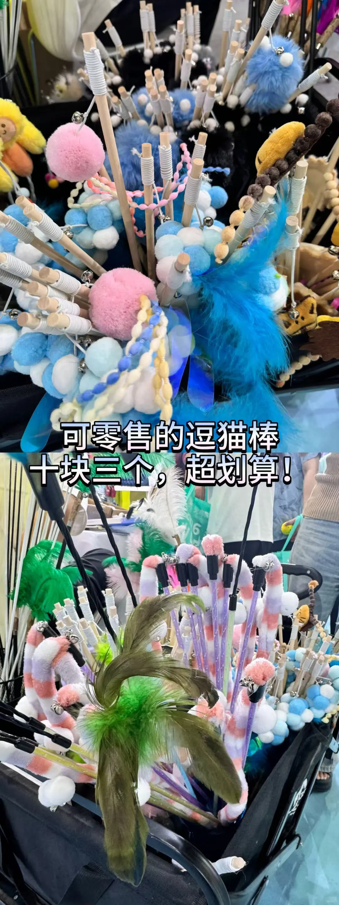 ?宠物展最后1天！萌力全开倒计时✨