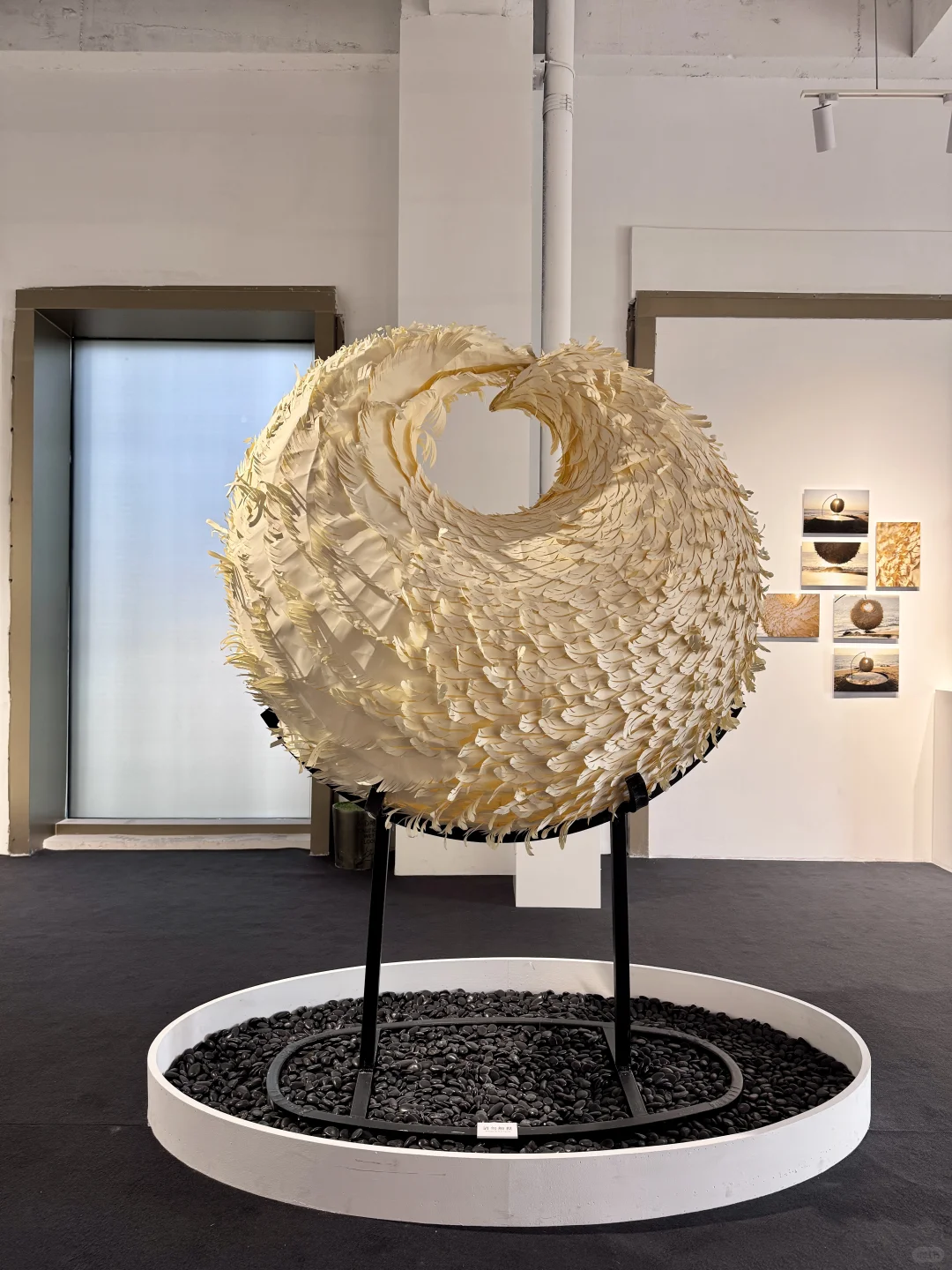 深圳新展｜纸艺创作的梦幻世界?直达（附机位