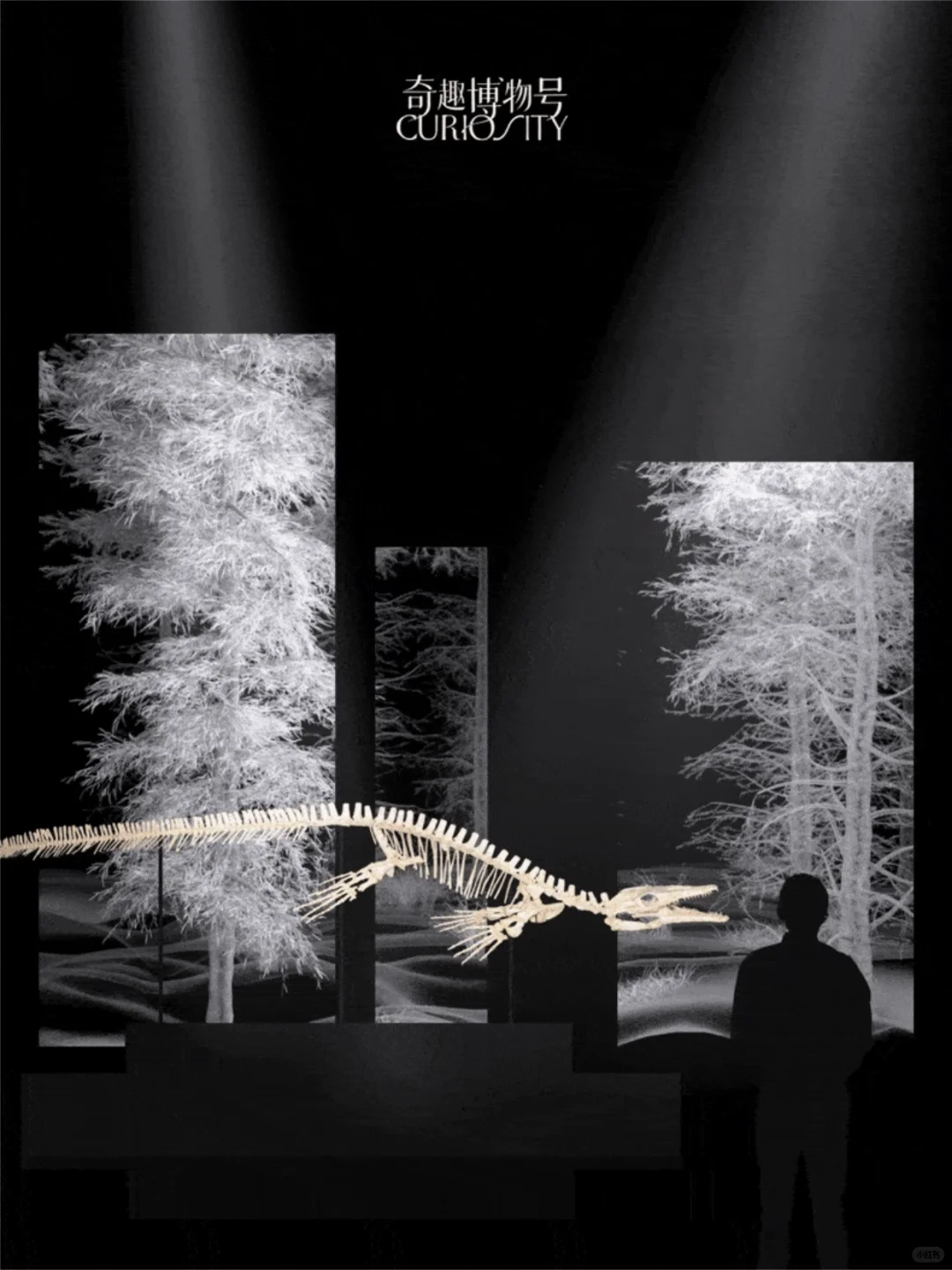 重磅新展| 穿越亿年与古文明来一场震撼对话