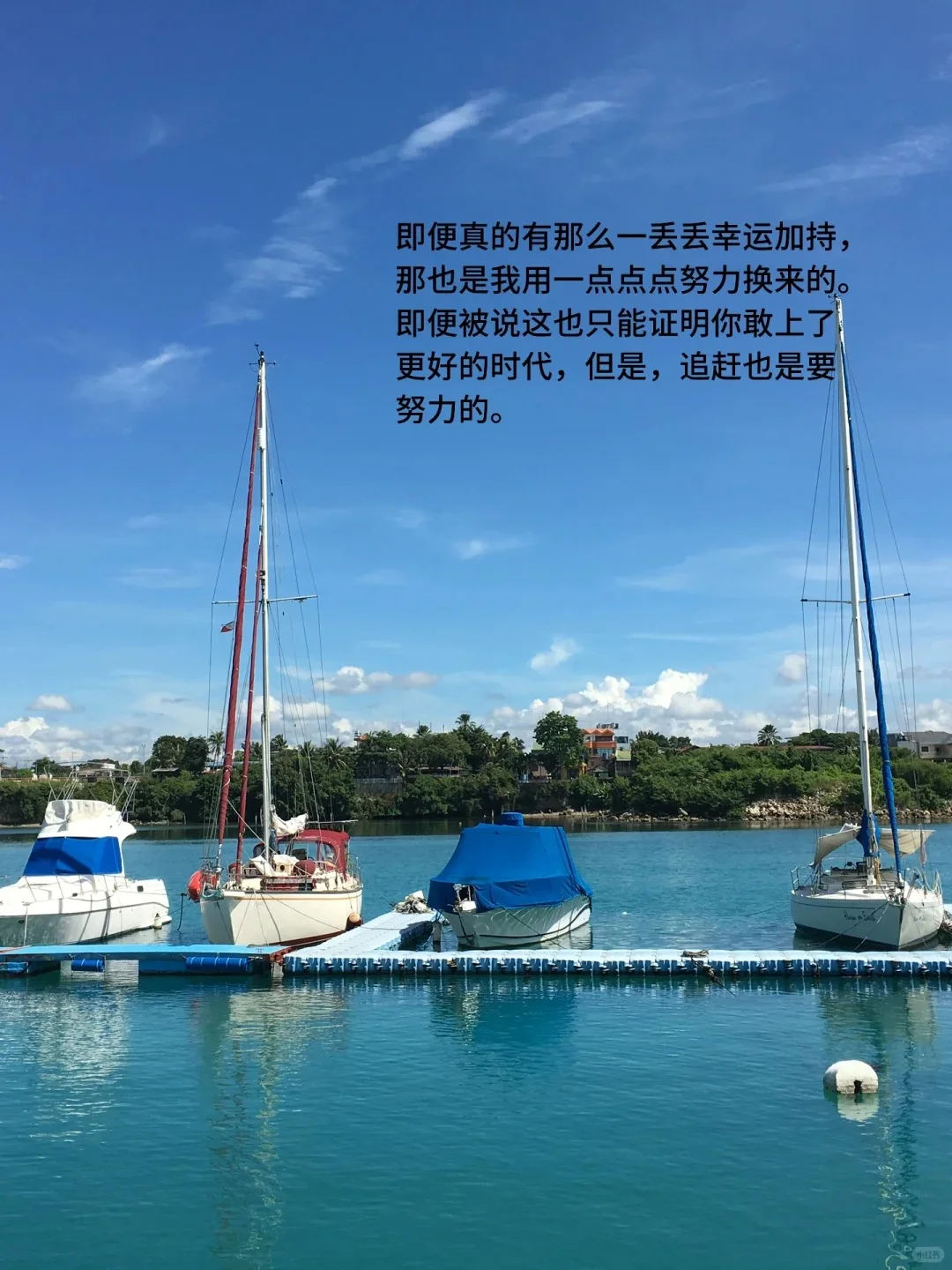 低欲望赢家!英专生制造业深耕,WLB 超香