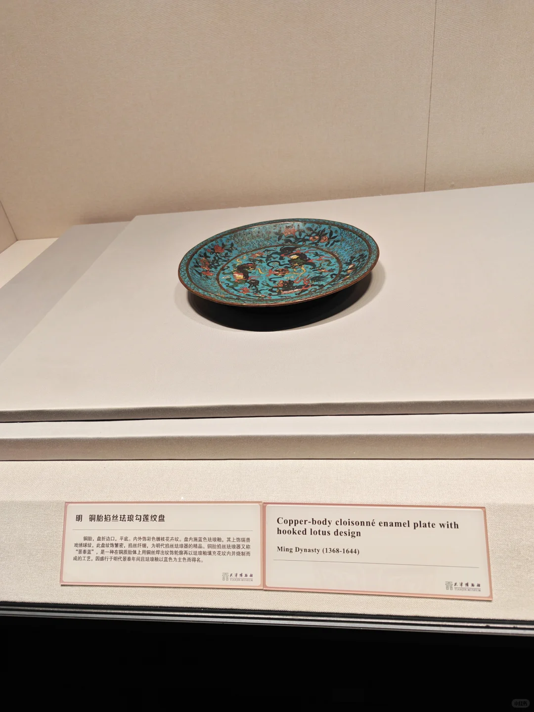 天津博物馆半日游，雅实在是雅