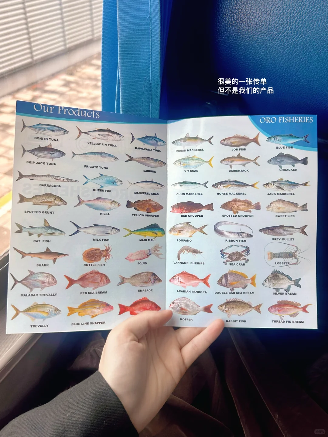 ?青岛2025国际渔博会｜展会翻译经验分享