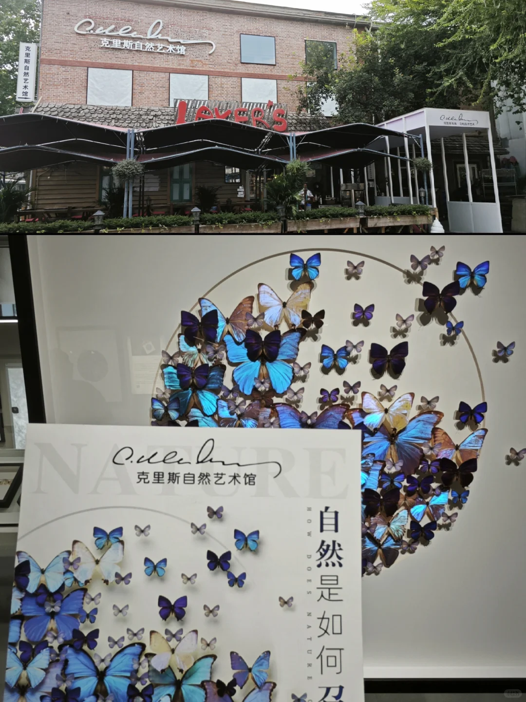 798逛展攻略｜免费逛一天超治愈?️～