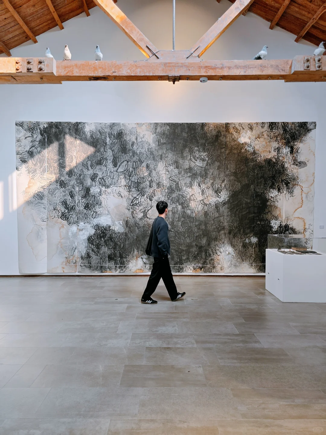 郑州新展！别错过！周末来看展！