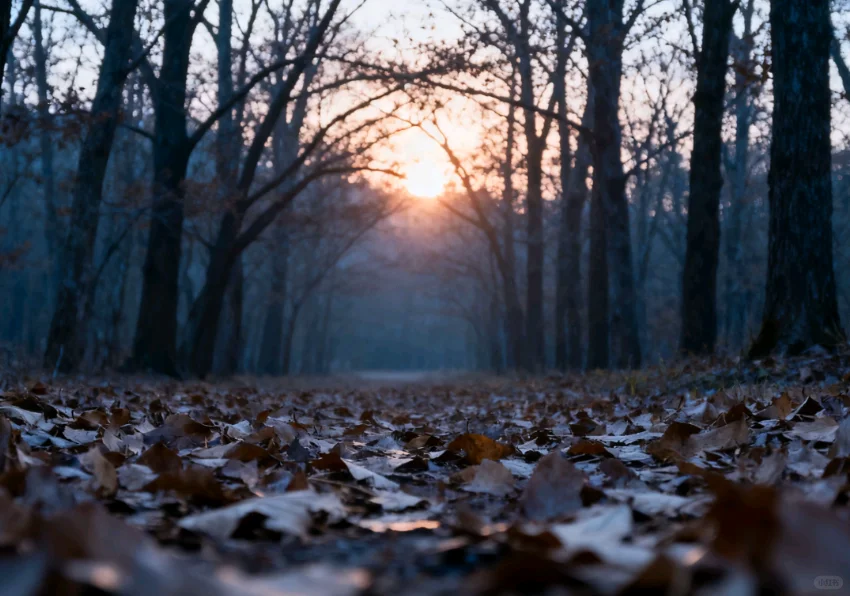 采购资源共享交流群