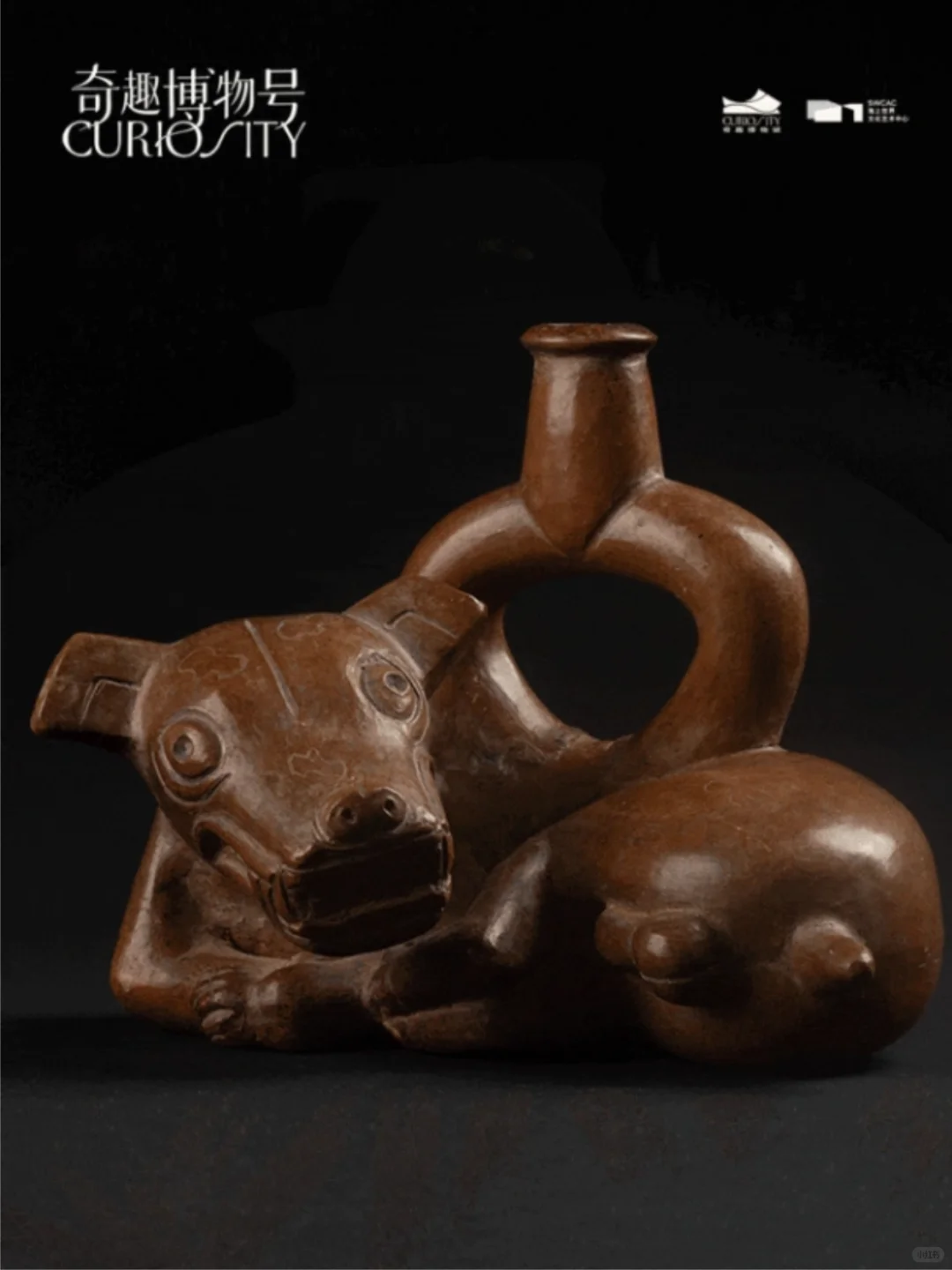 重磅新展| 穿越亿年与古文明来一场震撼对话