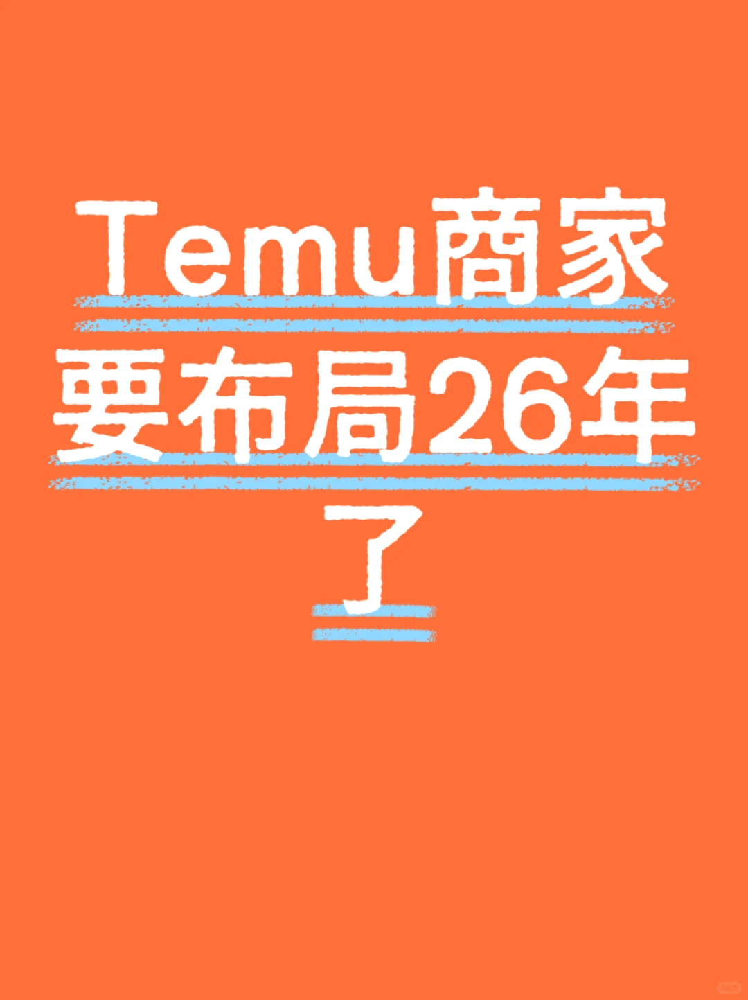 Temu商家明年的布局