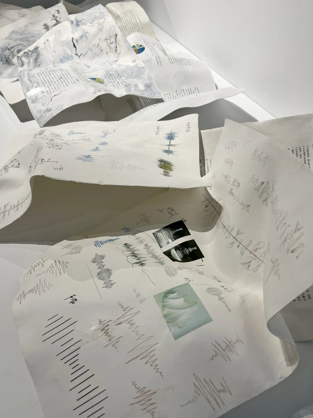 传说中的全国九大美院毕业作品展