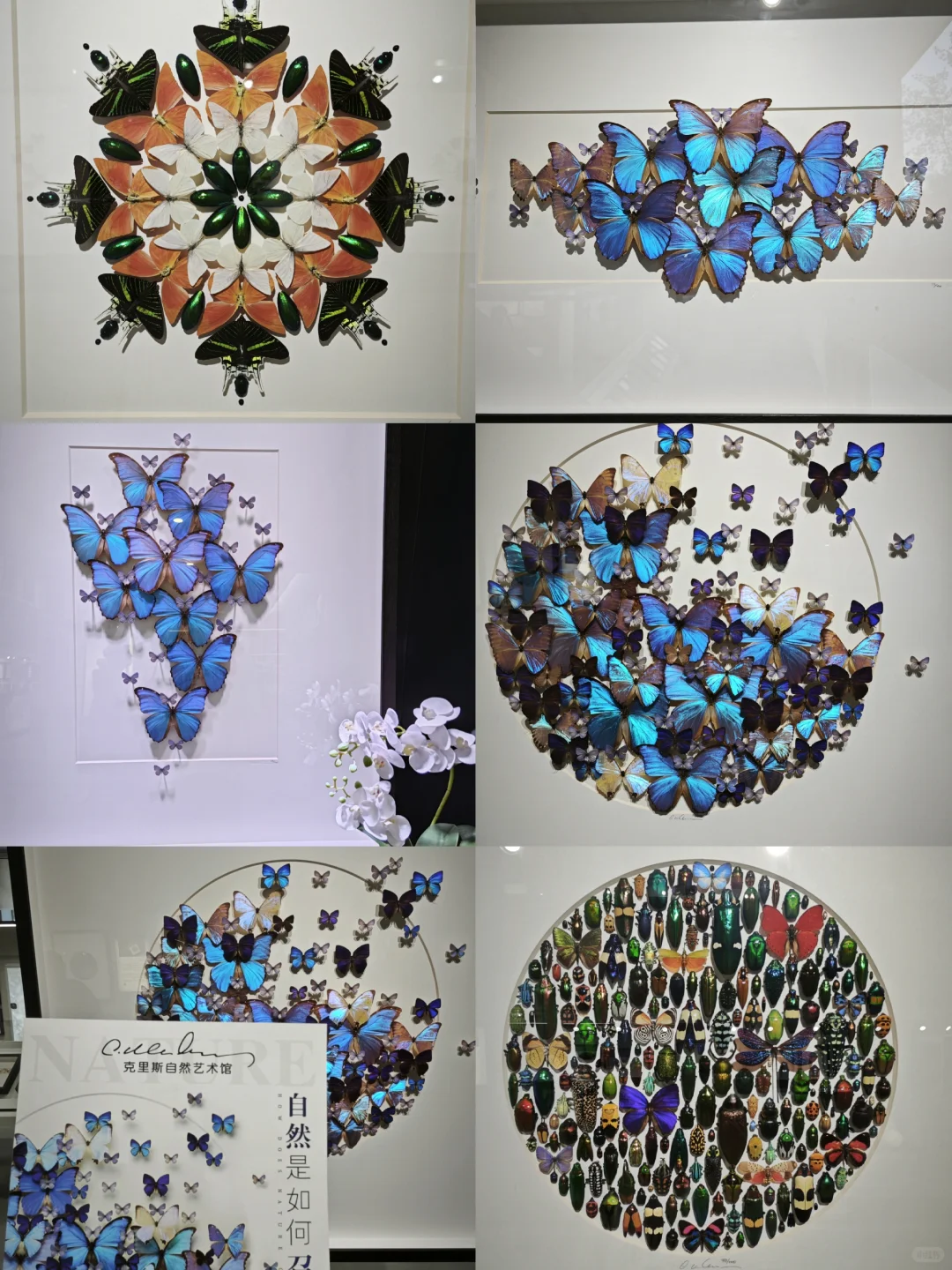 798逛展攻略｜免费逛一天超治愈?️～